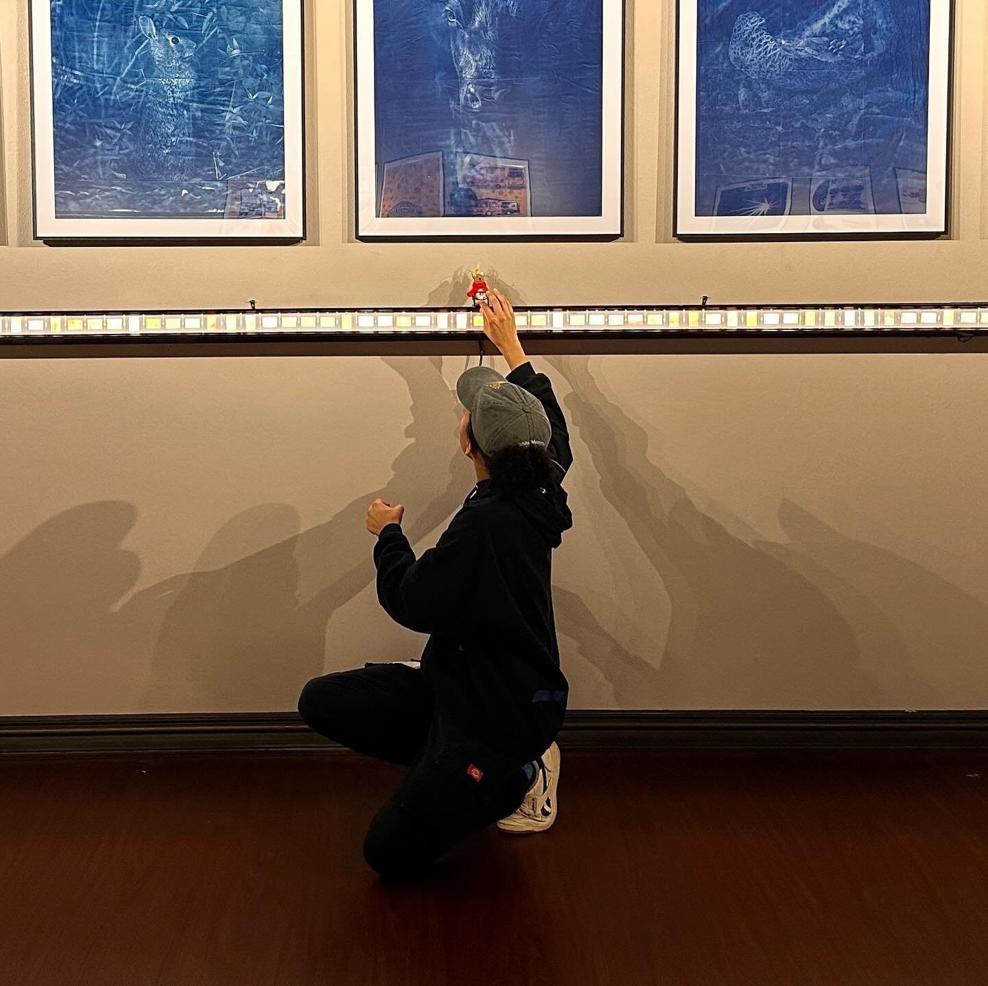 Reminiscing about senior capstone show and anticipating ovac&rsquo;s Momentum show.

Part of &ldquo;Exposing Nature&rsquo;s Beauty&rdquo; will be on display again soon. Check it out if you&rsquo;re in the Oklahoma City area April 5th and 6th.