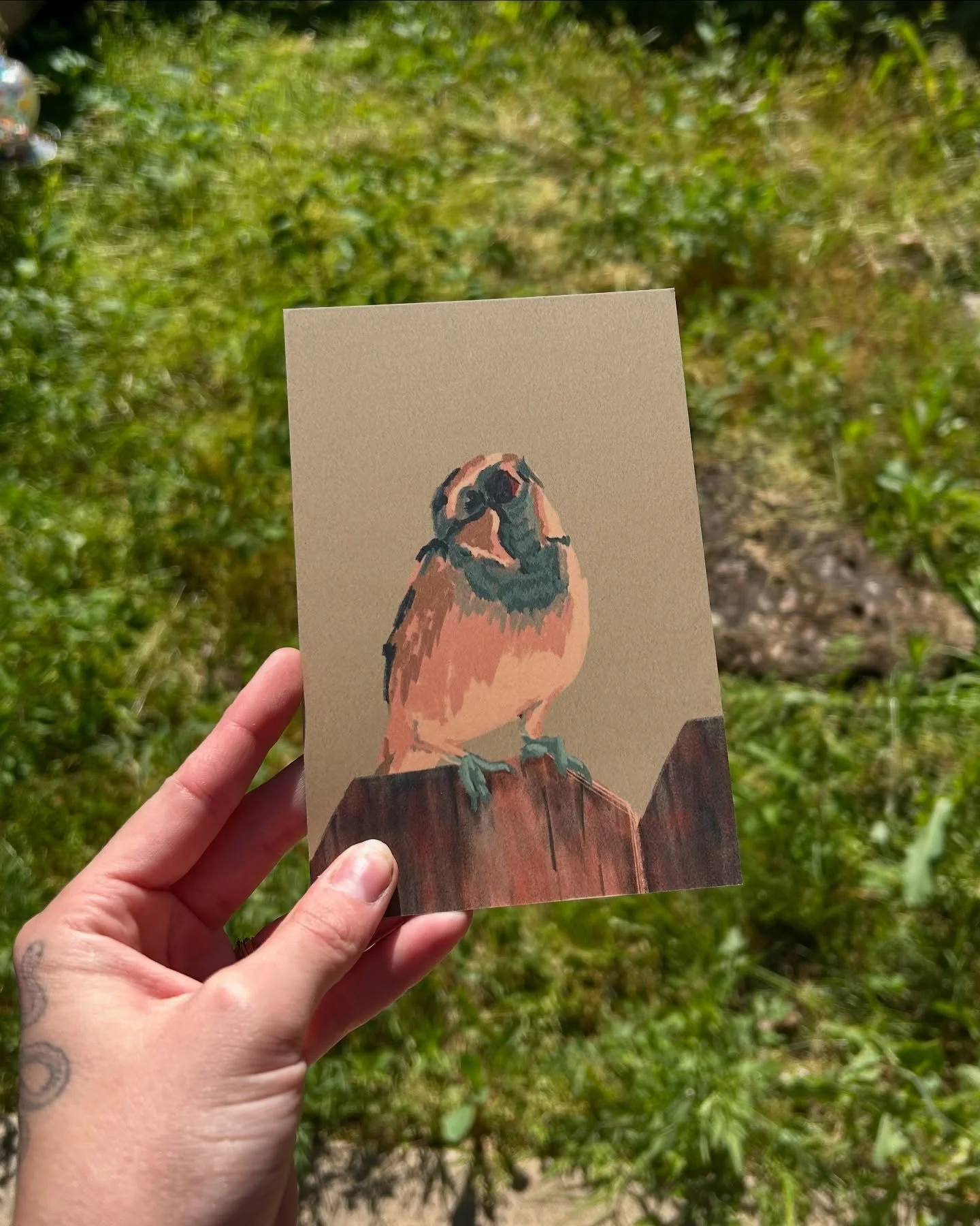 The bird postcards we know and love now come with a matte finish option, which I&rsquo;m loving even more. ANDDDDDD they also are stickers on Red Bubble!!

Click the link in my bio to check them out! There&rsquo;s one extra sticker that&rsquo;s not a