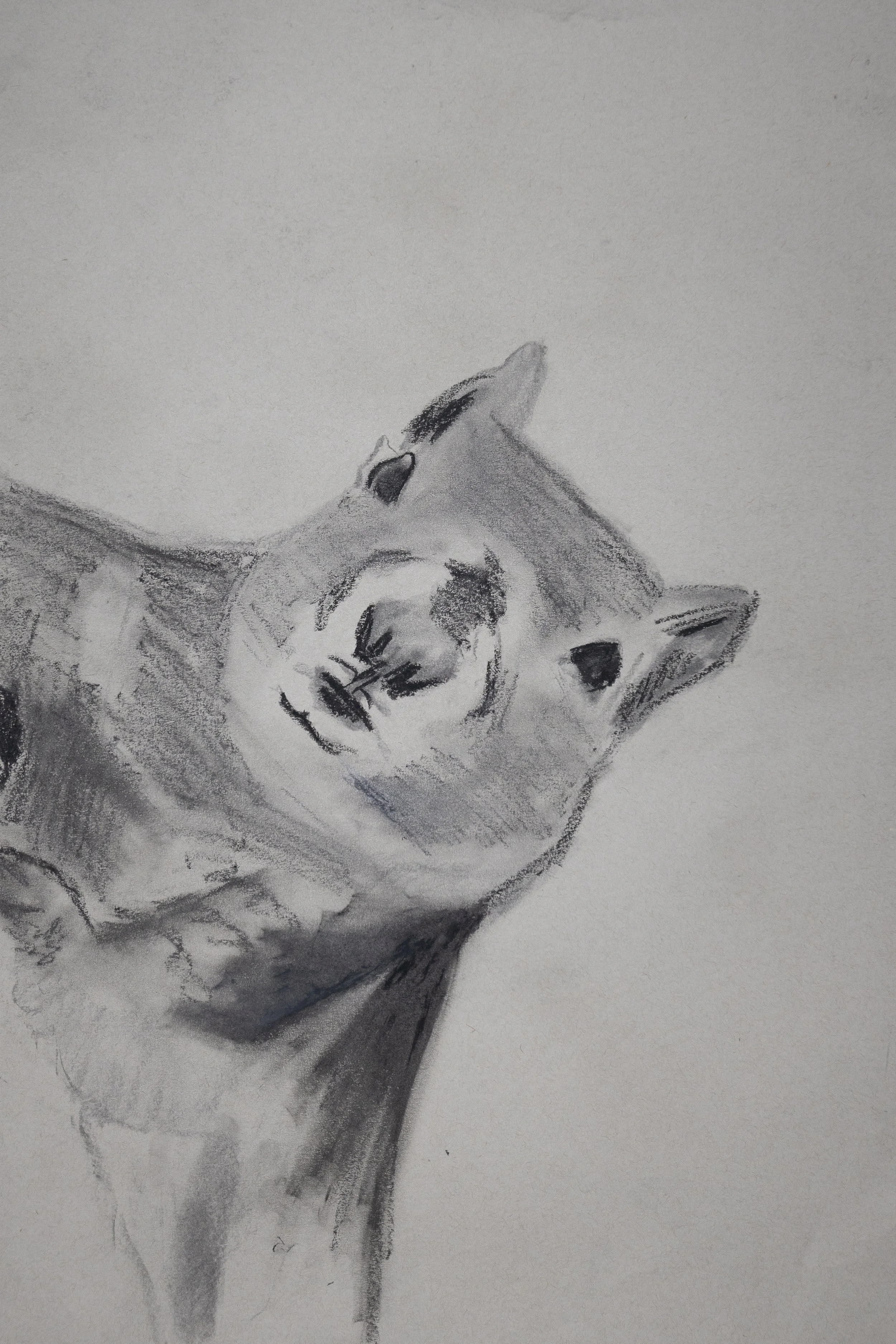 Sheila Spying From Her Tree (18"X24")