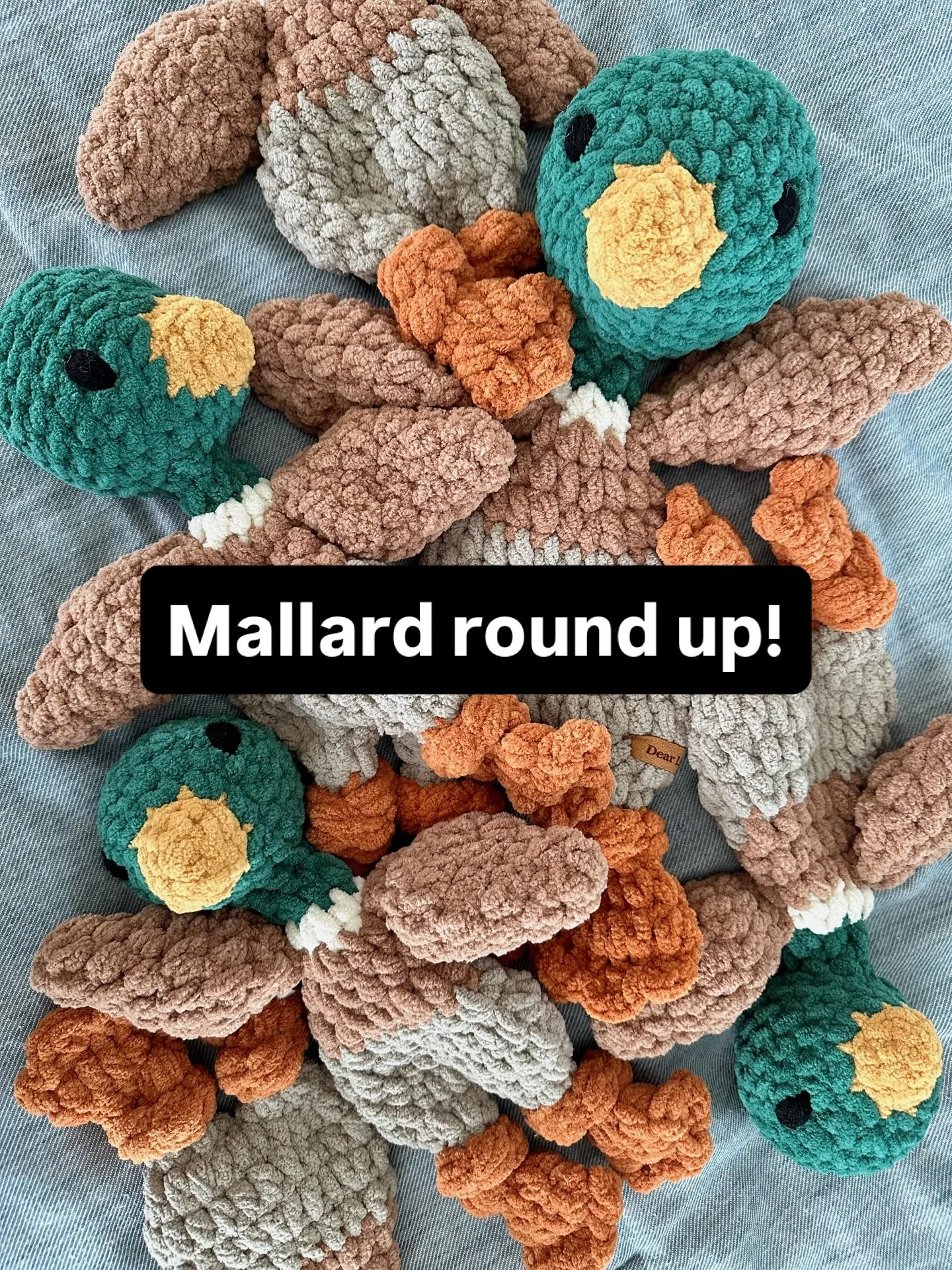 Main Mallard highlights from the past few years!🦆

I&rsquo;ve made a bunch of different ones and these stick in my head as some of my favorites! Some stuffed, some muted, some classic colors, and all different sizes! 

SAVE for crochet inspo! 

Patt