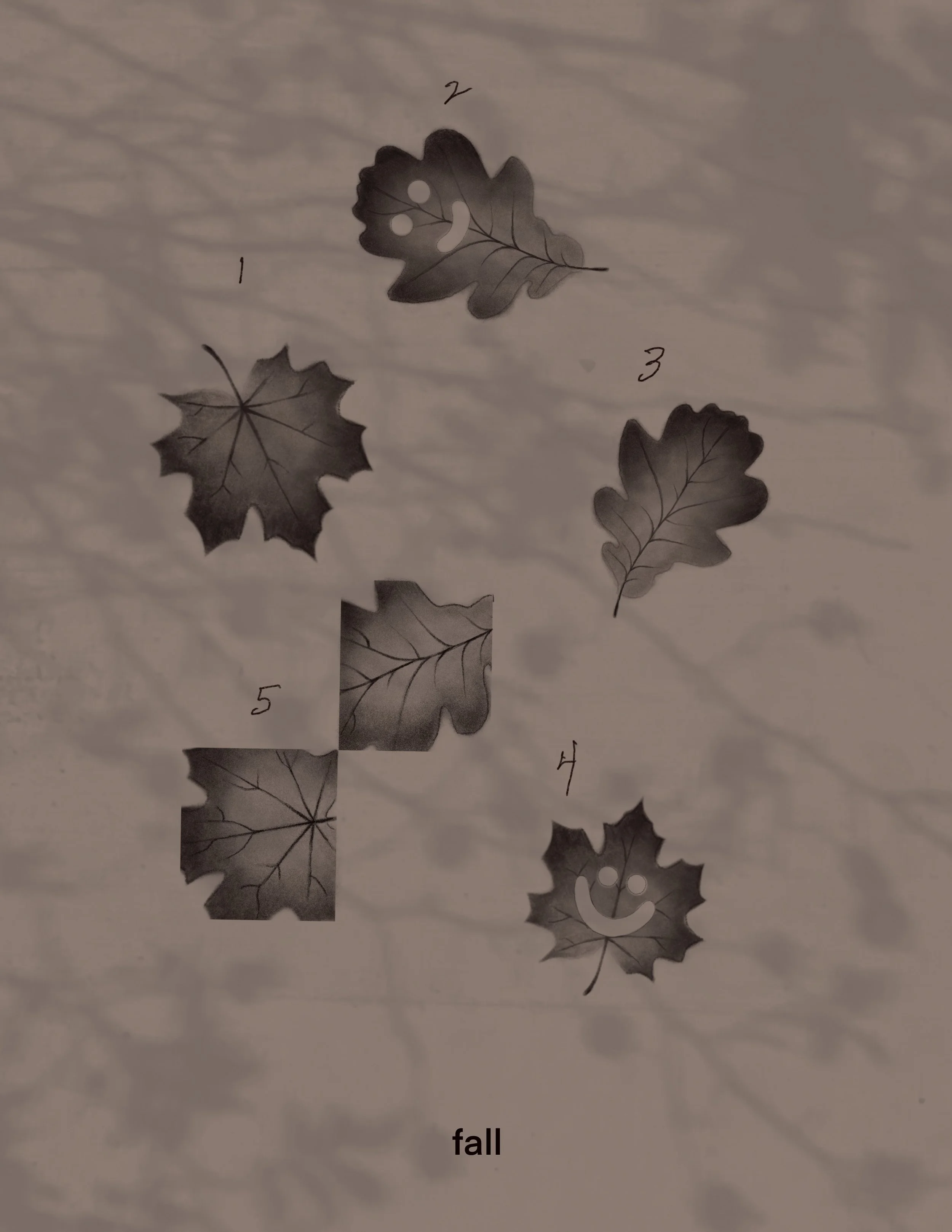 #1-4  $230 ~3”, #5  $275 ~3” (repeatable) 11/2025