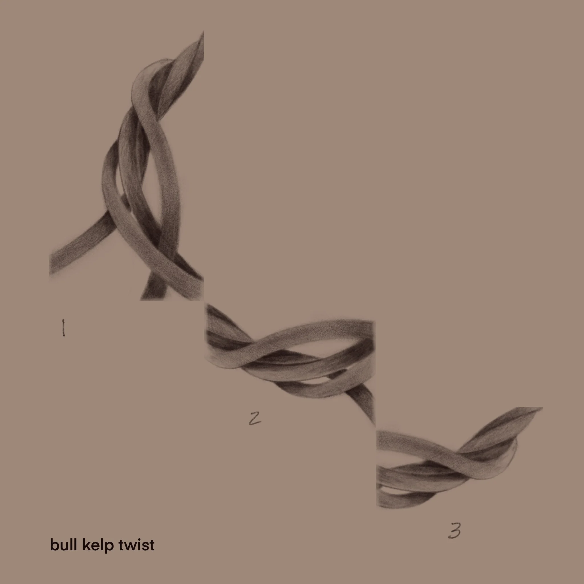 (repeatable).  8/2024