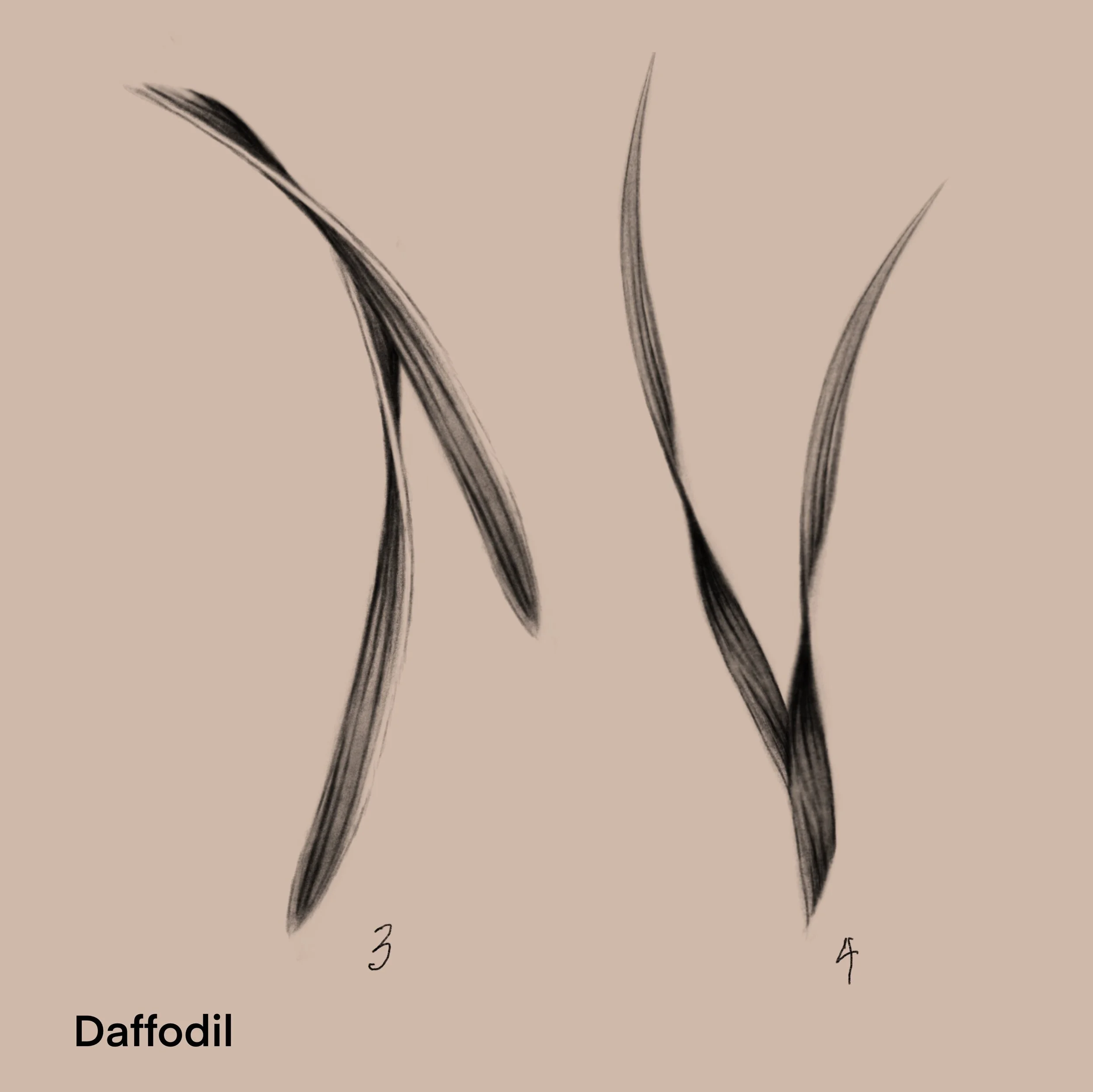 (repeatable) 3/2025. 