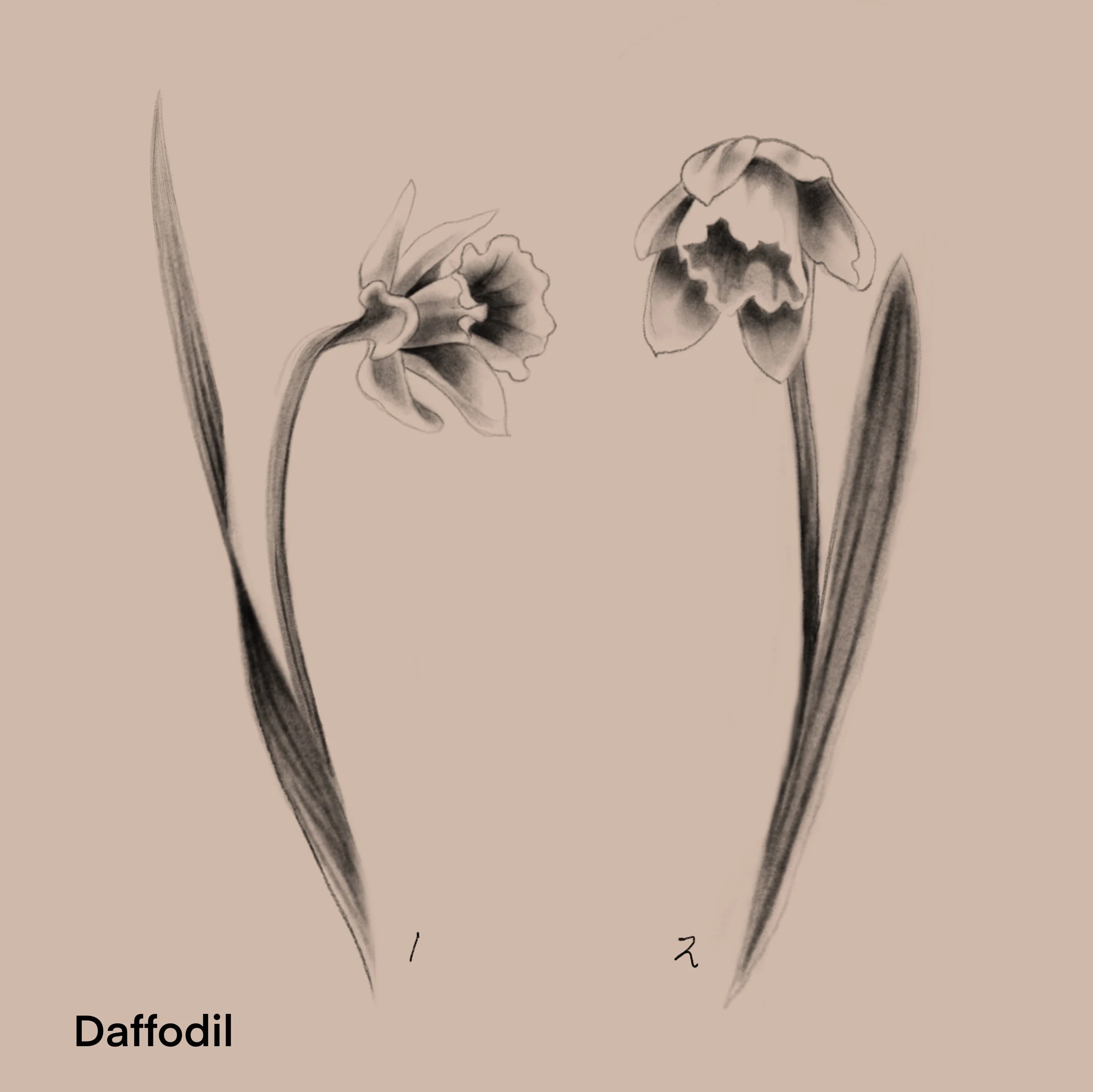 (repeatable) 3/2025. 