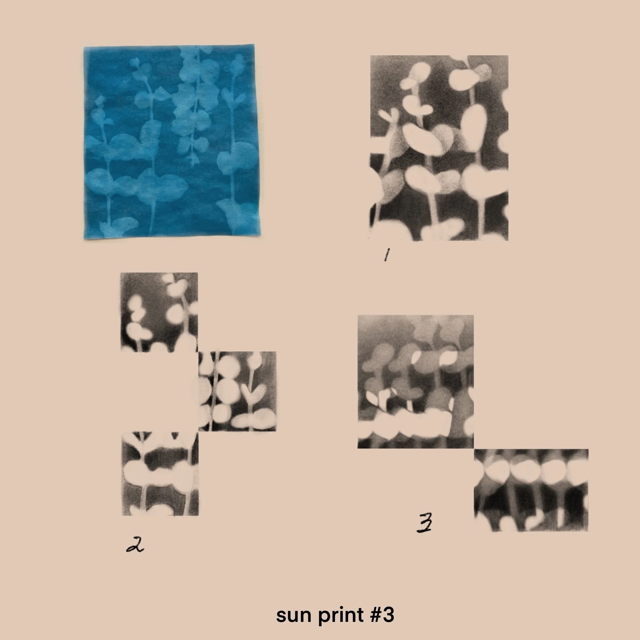 (repeatable) 7/2024.