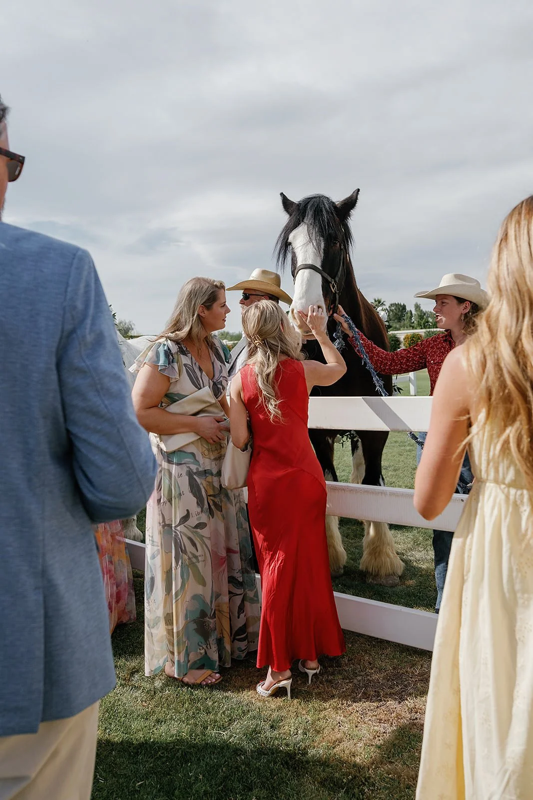Guests greeting a horse at a Merv Griffin Estate wedding designed by COJ Events