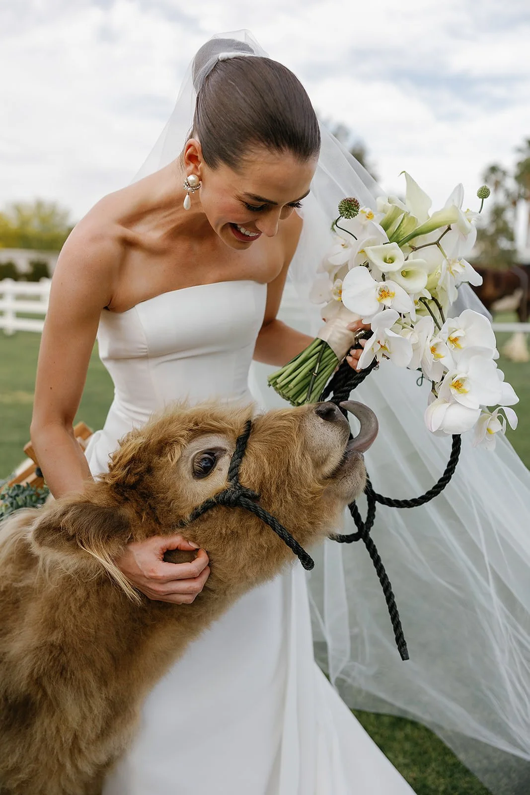 Bride with a mini cow at a Merv Griffin Estate wedding designed by COJ Events