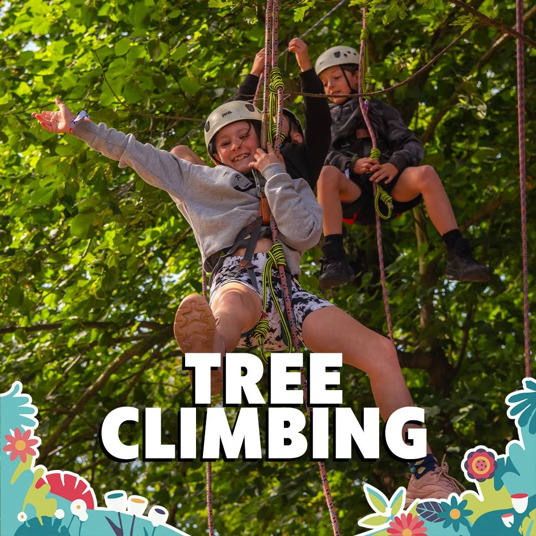 TREE CLIMBING