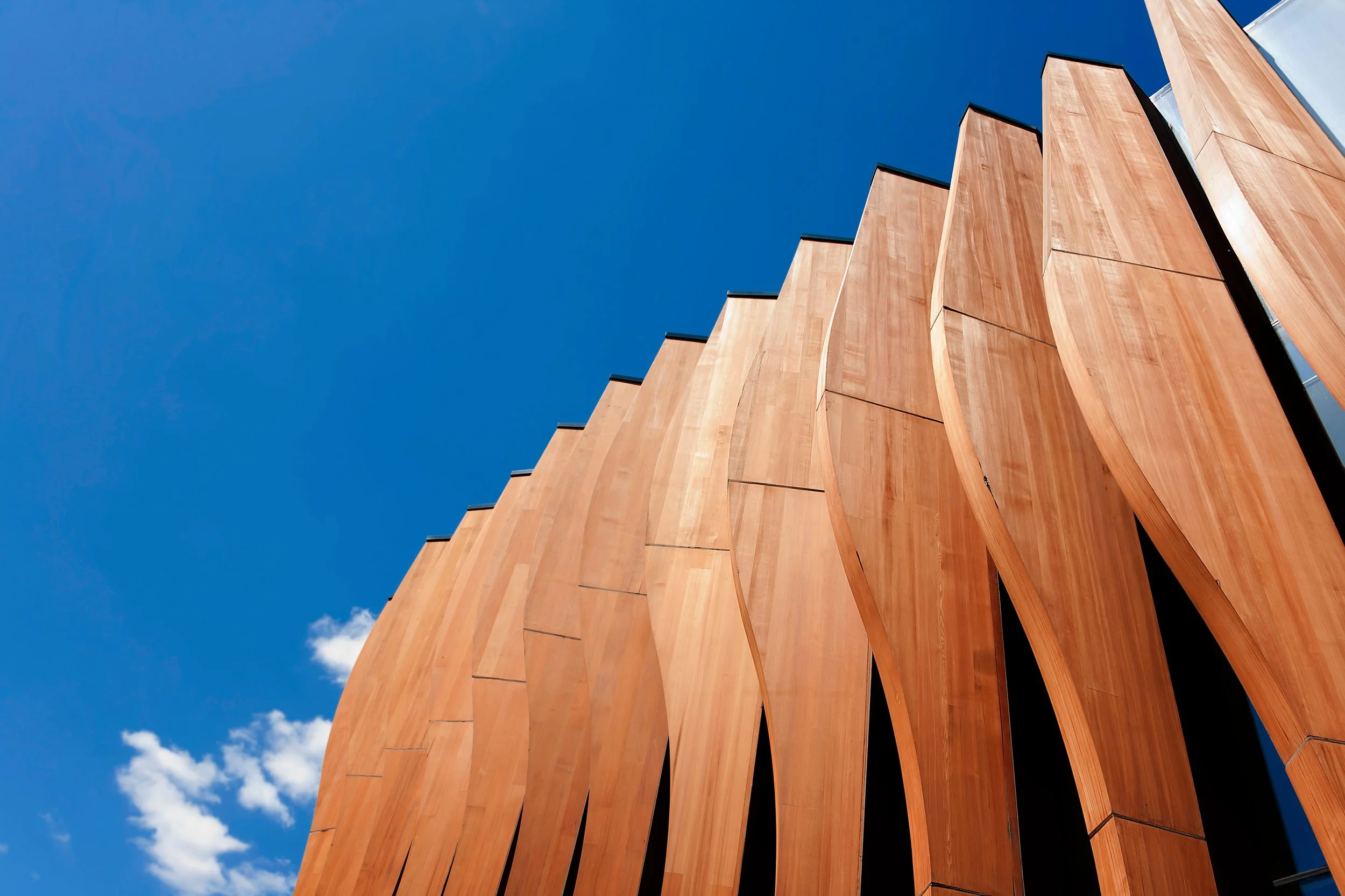 AIM ImmunoTech & AstraZeneca's Ampligen-Imfinzi Combo Shows Promising Data in Pancreatic Cancer Trial (DURIPANC)