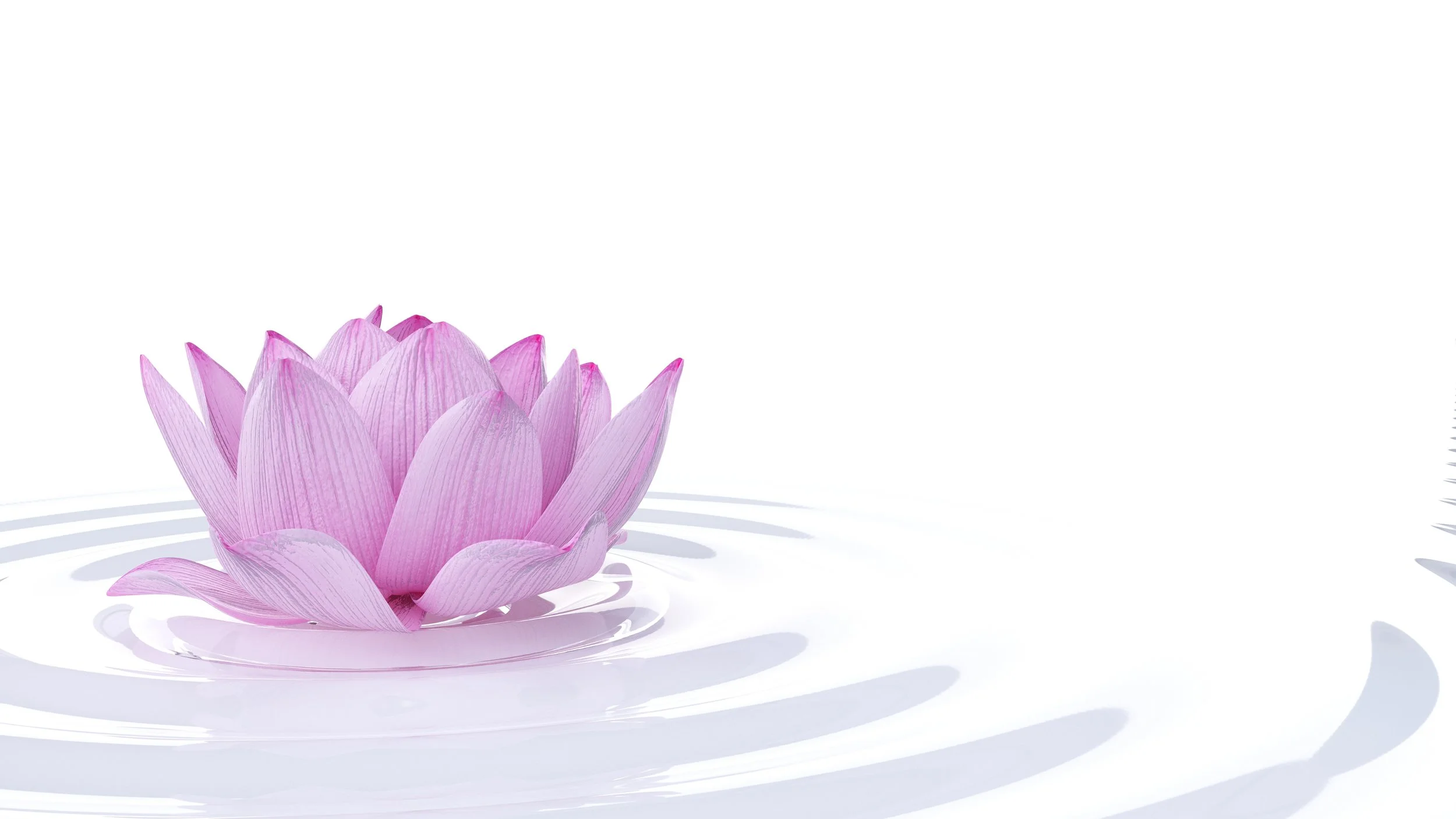 The Titans of Memory: Inside the Top 7 Organizations Fighting Alzheimer’s Disease