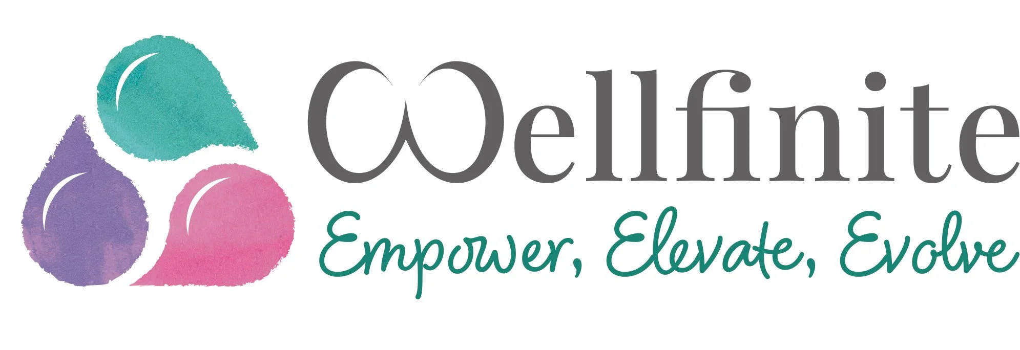 Wellfinite Logo Rectangle