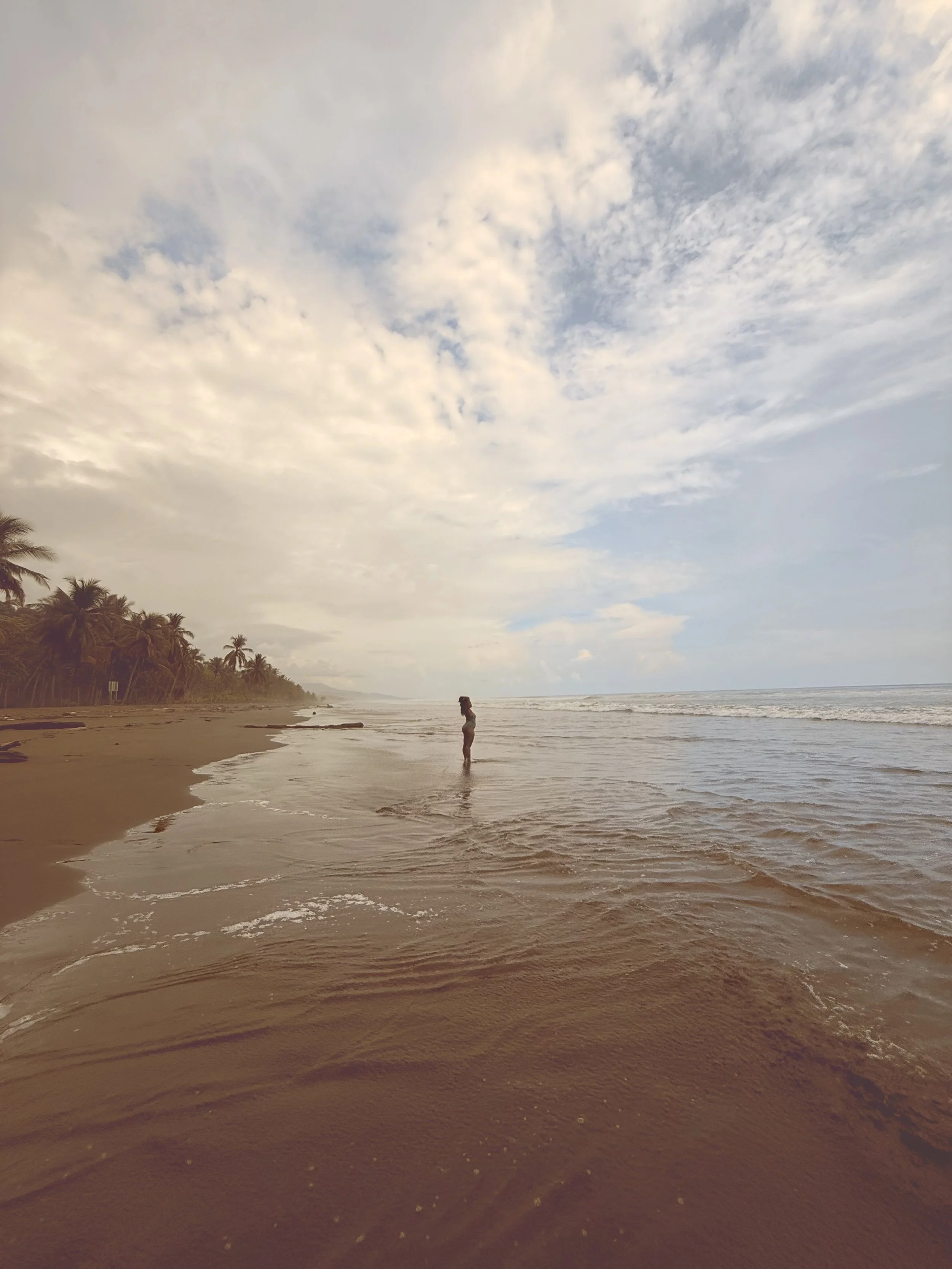 Person standing in shallow ocean water on a beach with palm trees, cloudy sky, and distant shoreline.