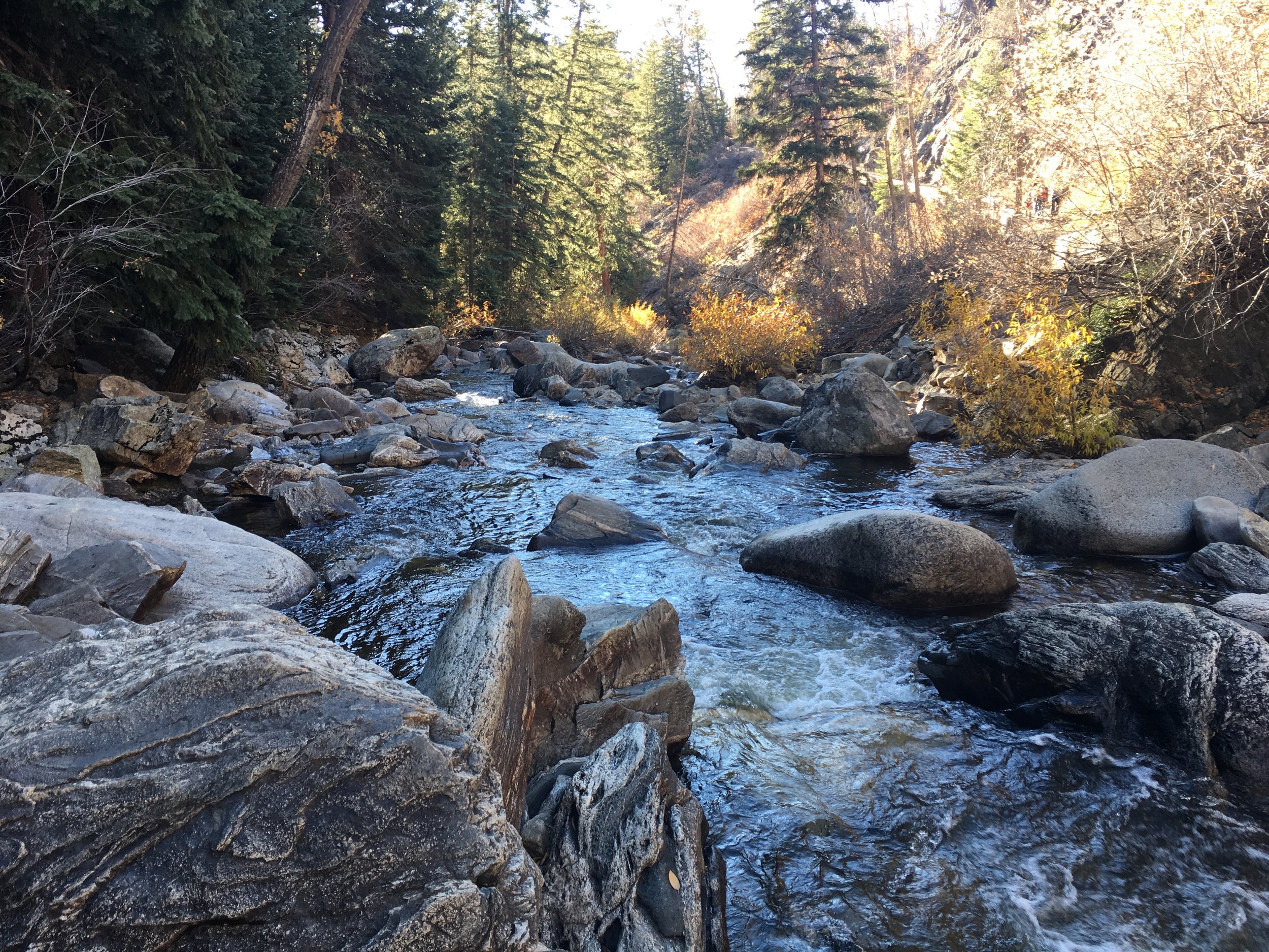 Photo taken by my father at the last Feast we kept together in 2024 (Estes Park, Colorado) - Submitted by Patrick (son)