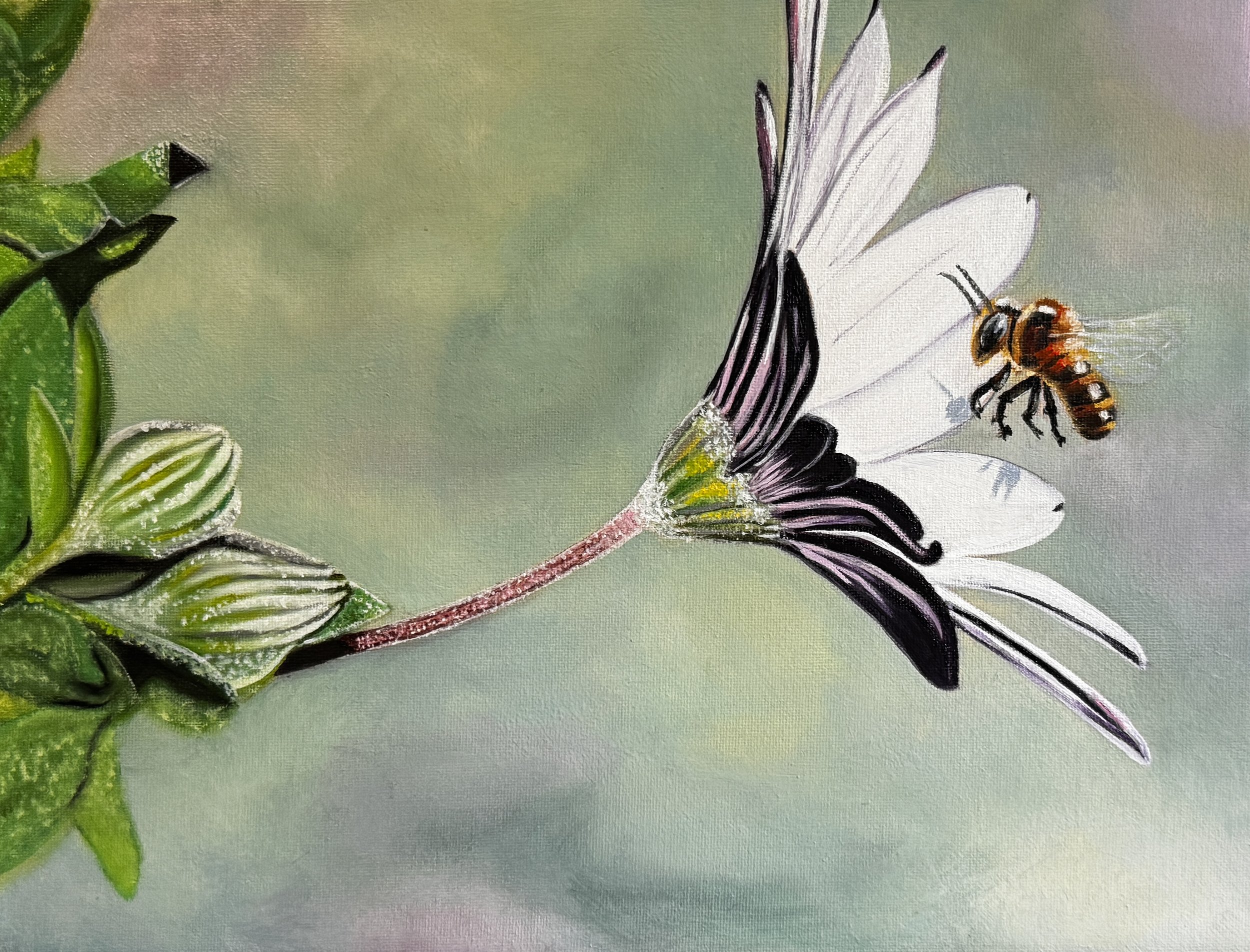 Pollen Dreams, 2025, Oil painting on canvas, 11" x 14"