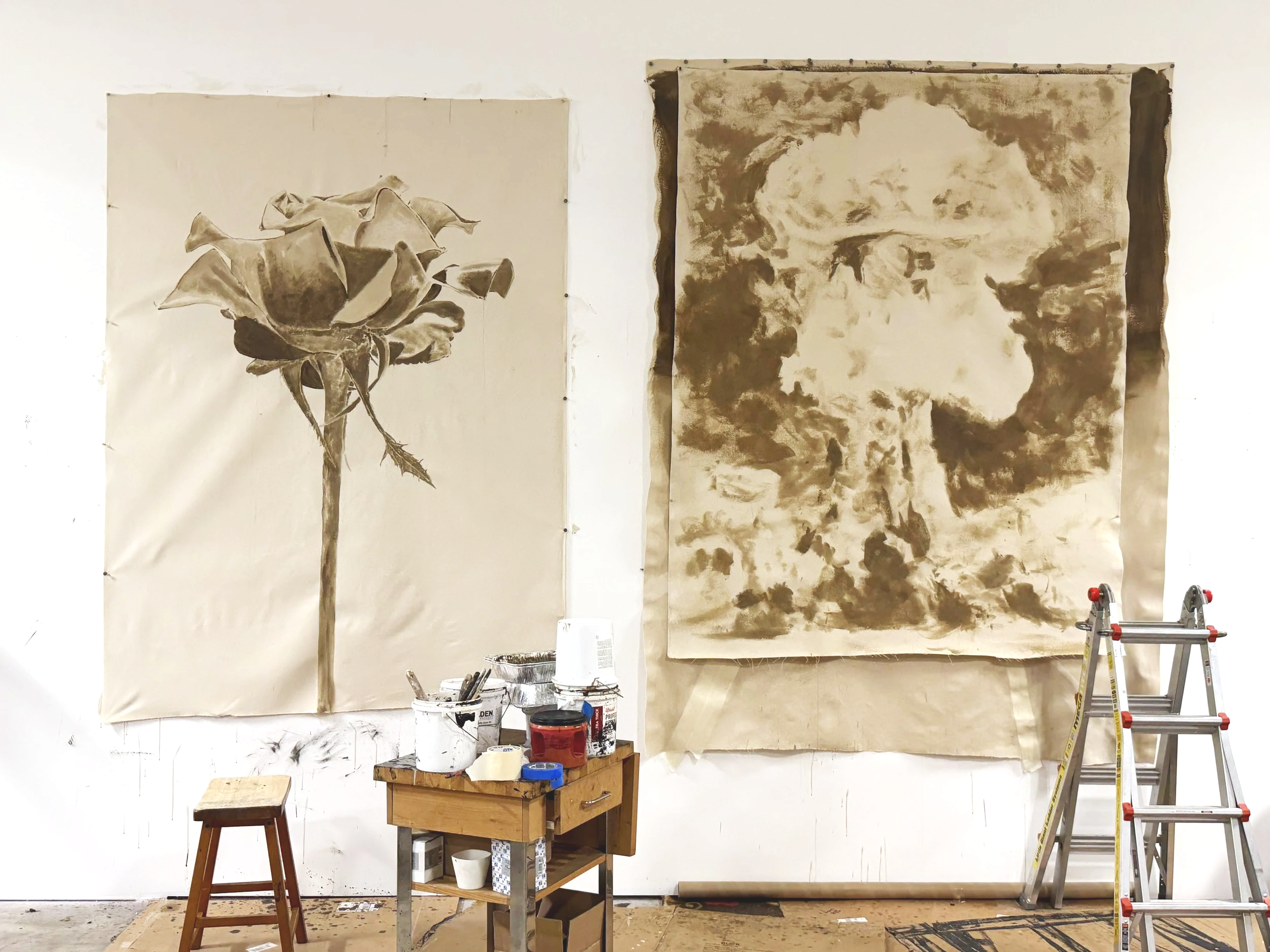 Studio View