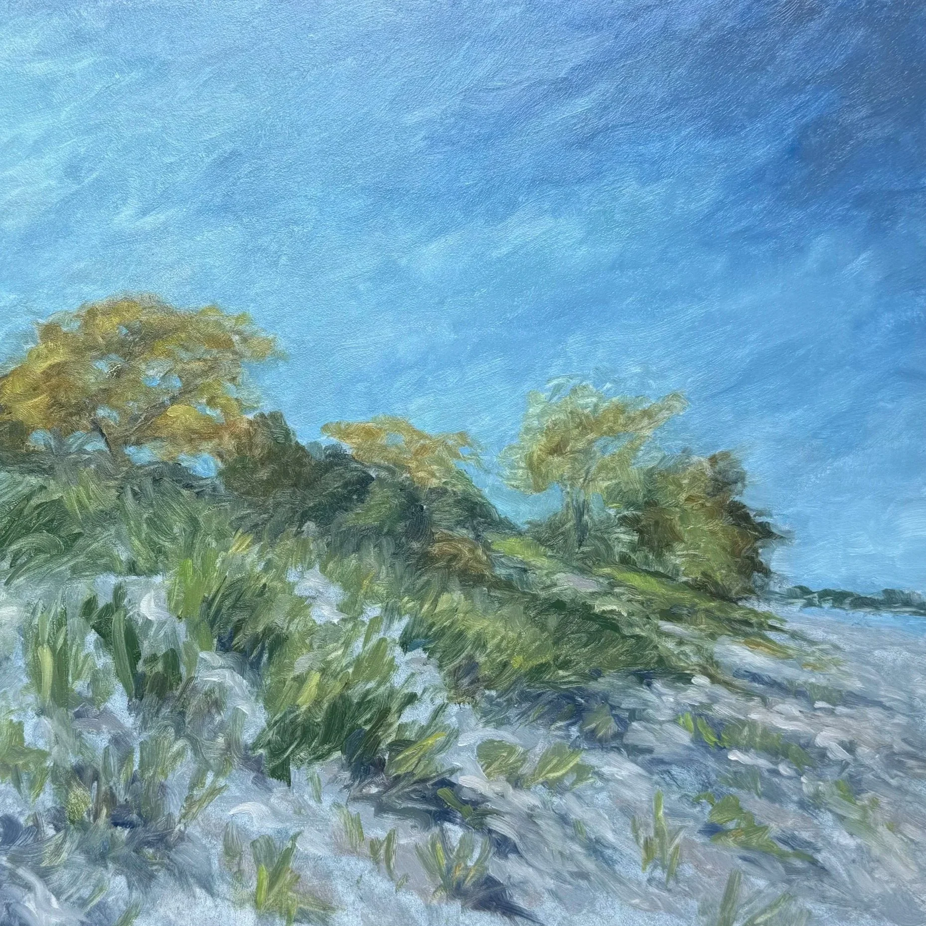 wilmette shore | oil on panel