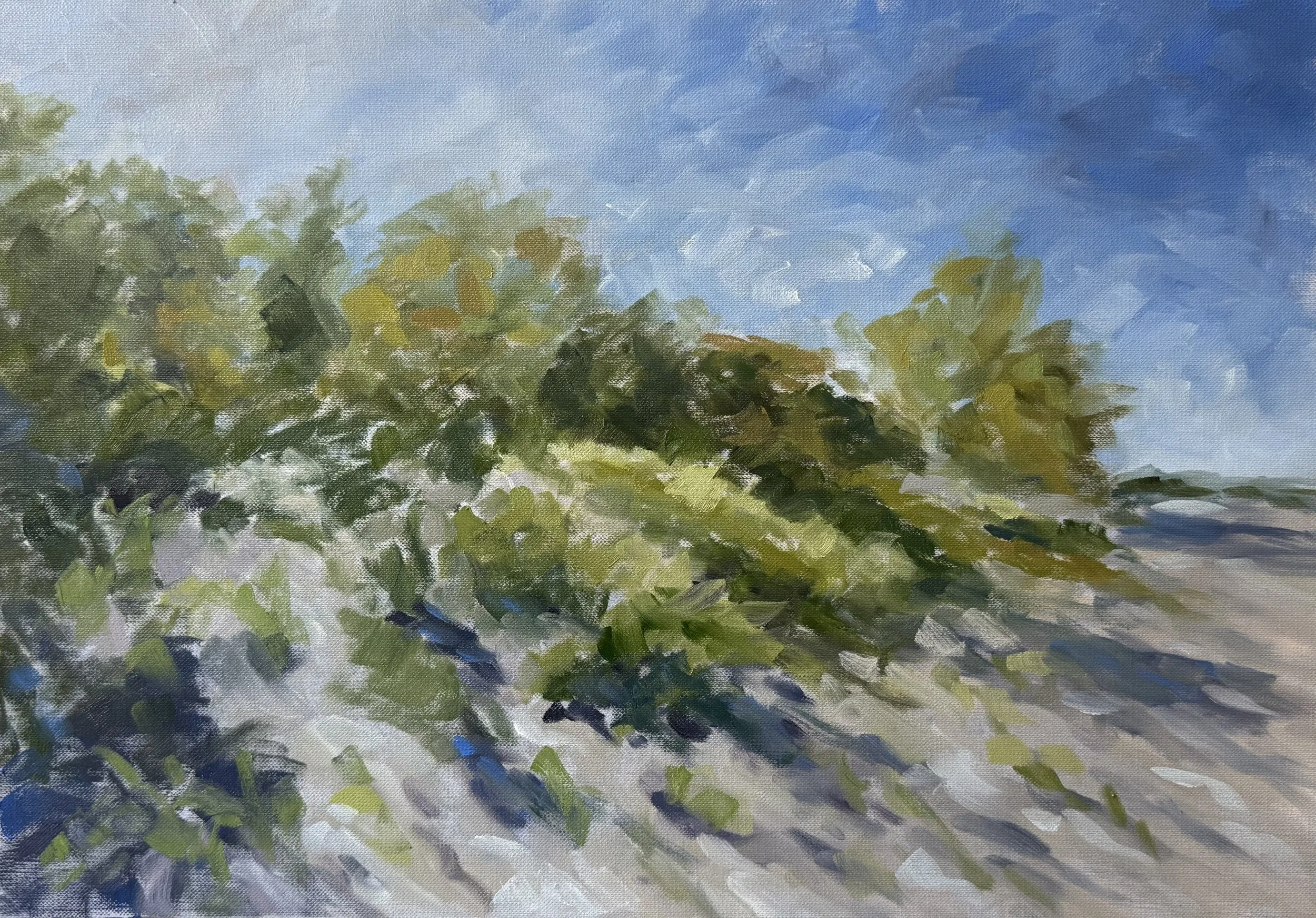 coastal shadows | oil on paper