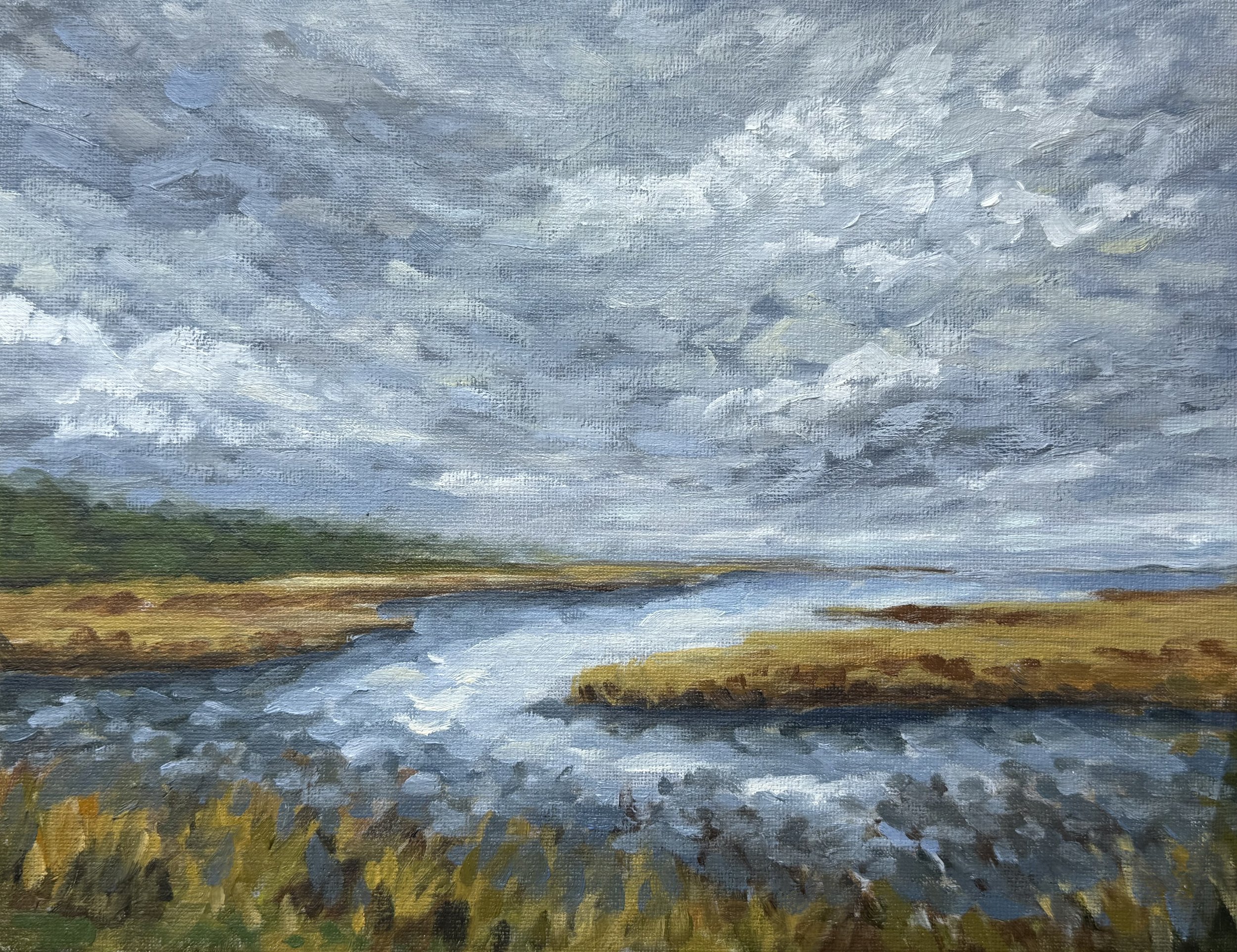 the marsh in grey  |  oil on canvas