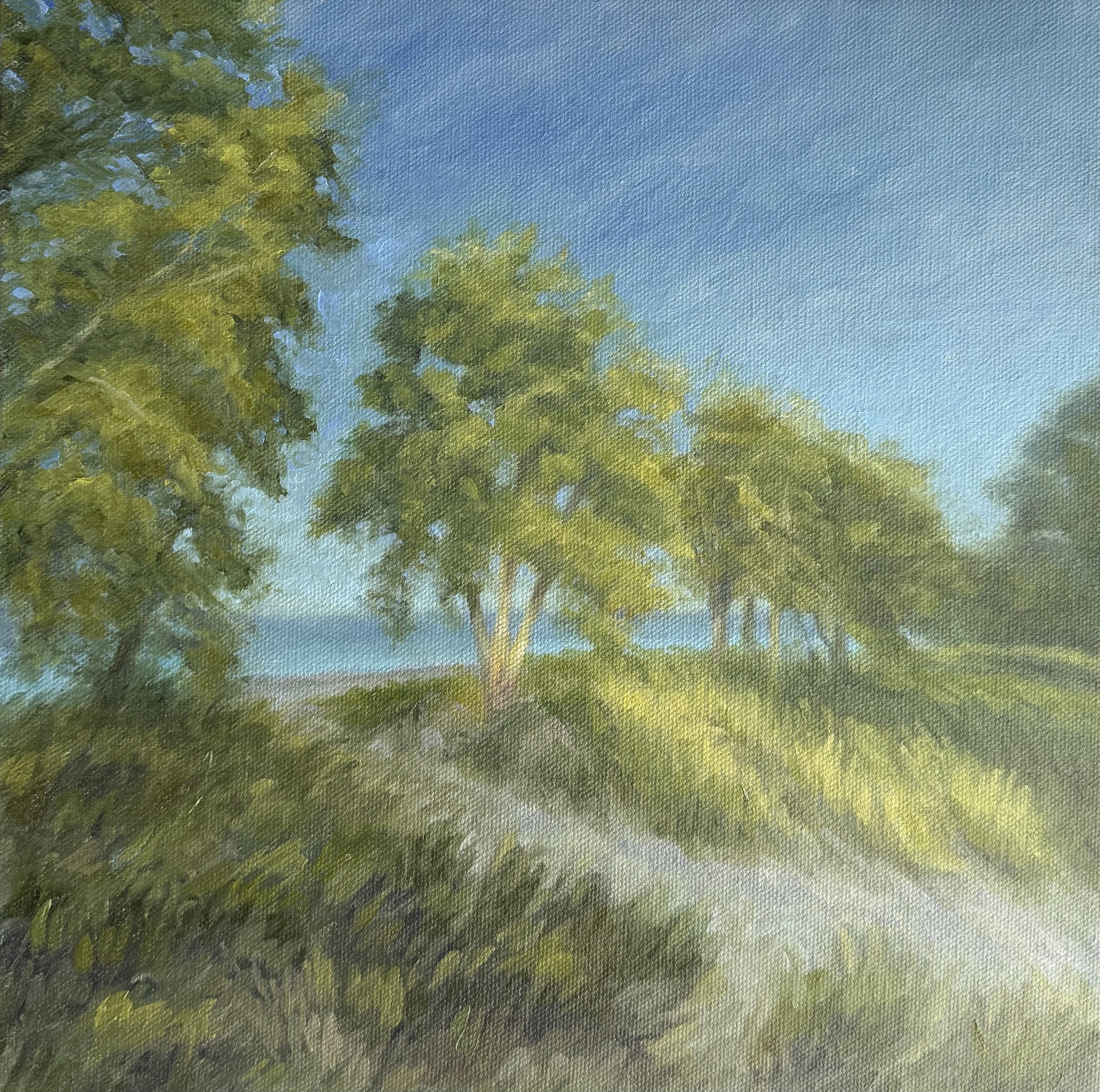wilmette bluff | oil on canvas
