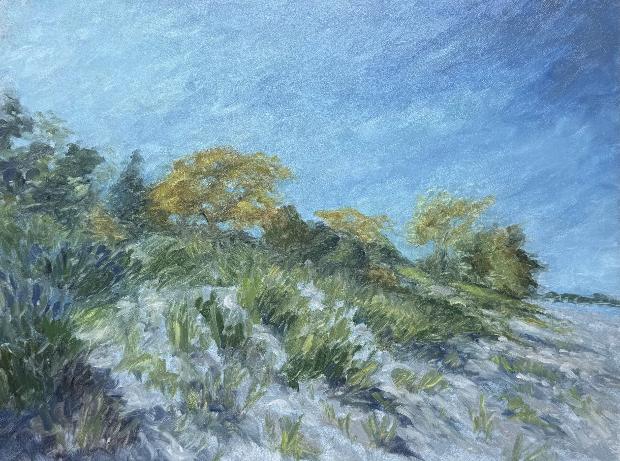 wilmette shore | oil on panel
