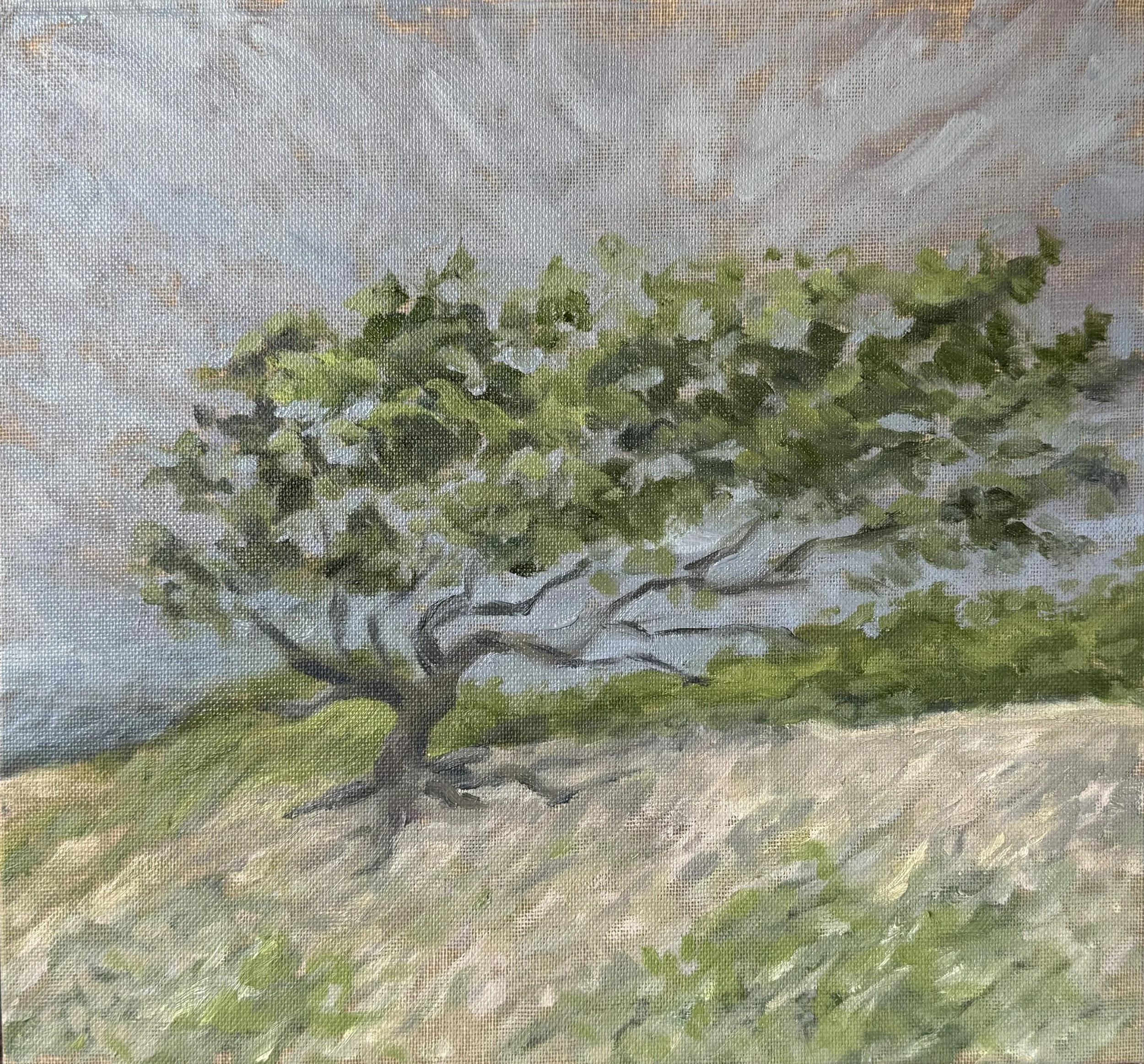 wild plum | oil on book linen