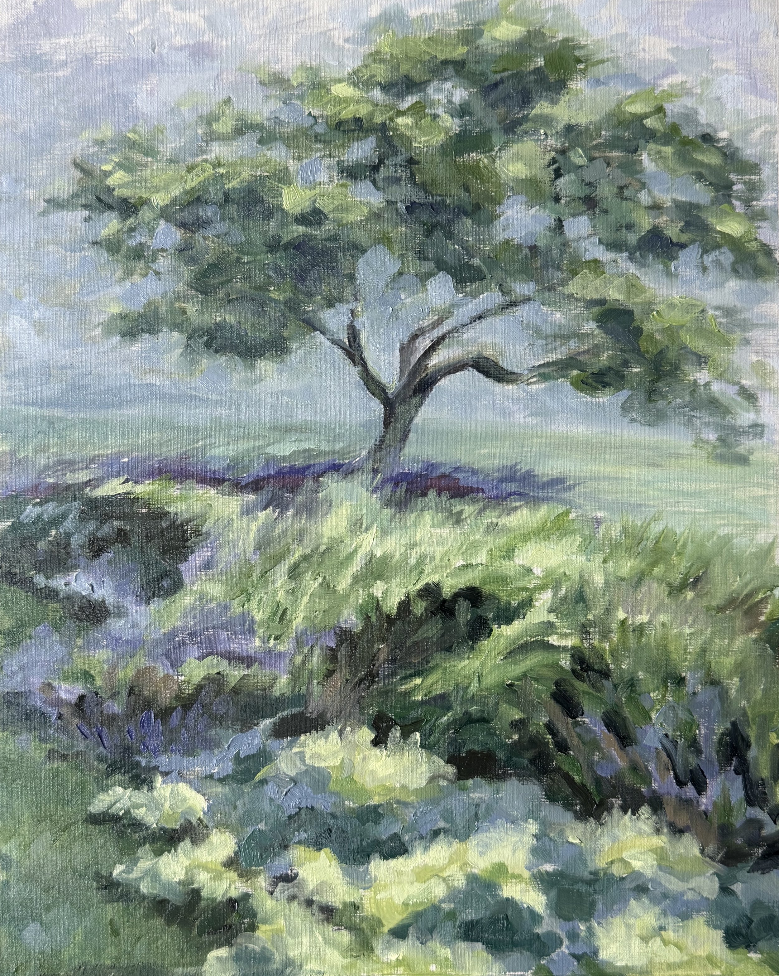 Tree in grasses_IMG_8693.jpg