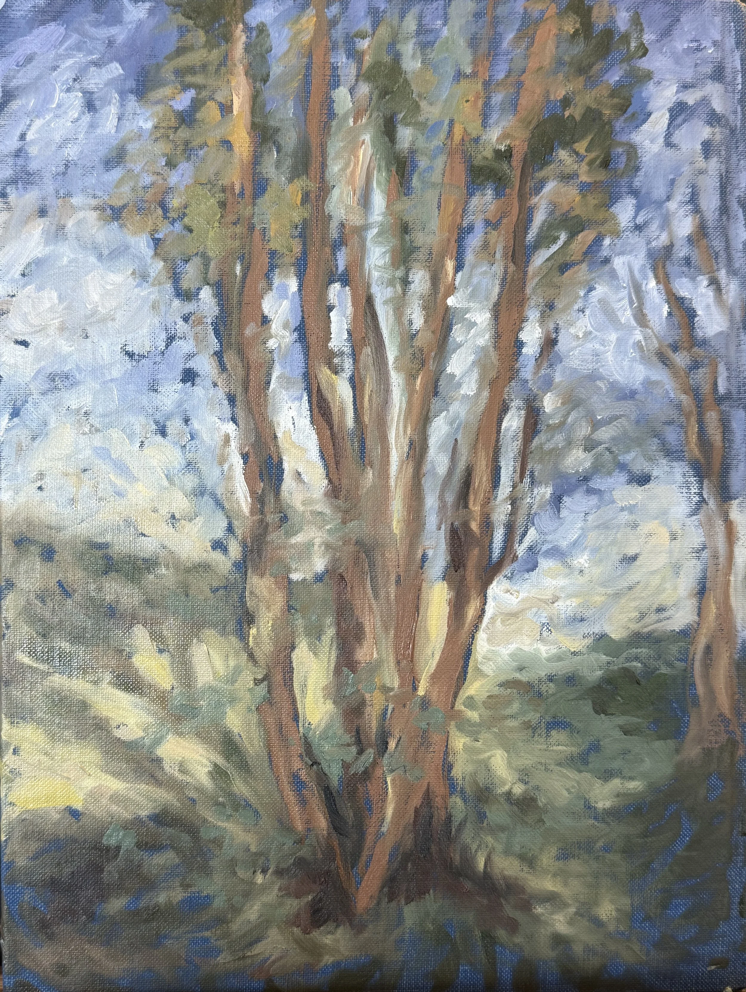 Studying Manet's Tree, oil on linen, 7.5x10.5in