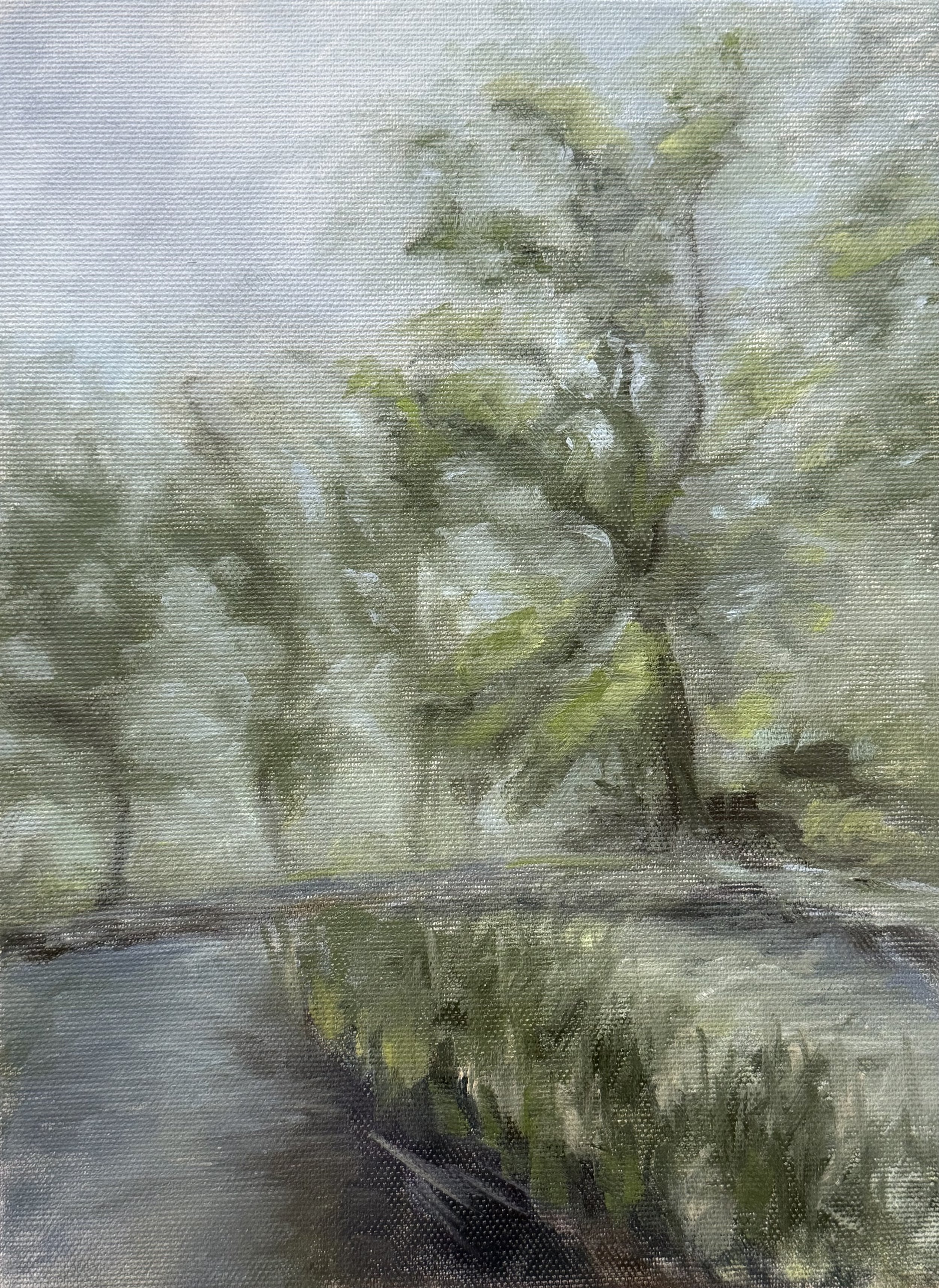 Art Escape_Laura_Pond_rain.jpg