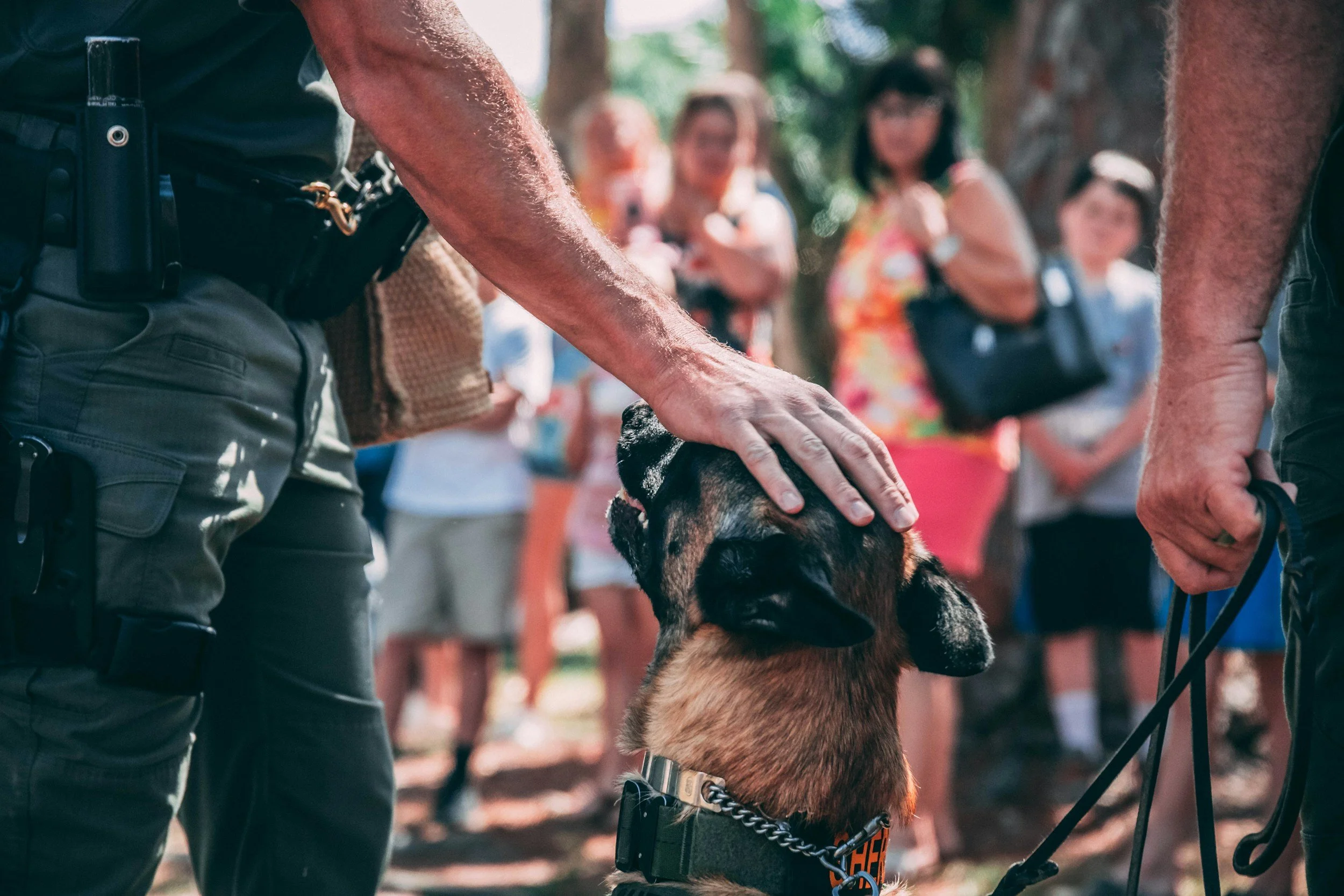 Is bite work going to make my dog aggressive?