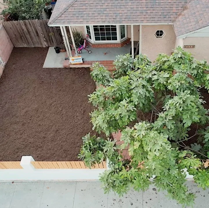 📍 PROJECT CEANOTHUS: MULCH

We can finally mark landscaping demolition, solarization, and mulching complete! We&rsquo;re onto the next phases of the project which include irrigation &amp; preparing the soil for planting!

We like to emphasize that w