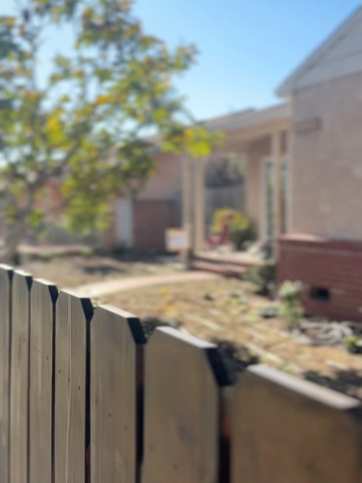 It may be winter, but at Project Ceanothus we&rsquo;ve gotten new life to the soil! It takes real patience and understanding to cultivate an environment.
@vargastreeservice makes sure every step is done thoroughly to provide longevity for every plant