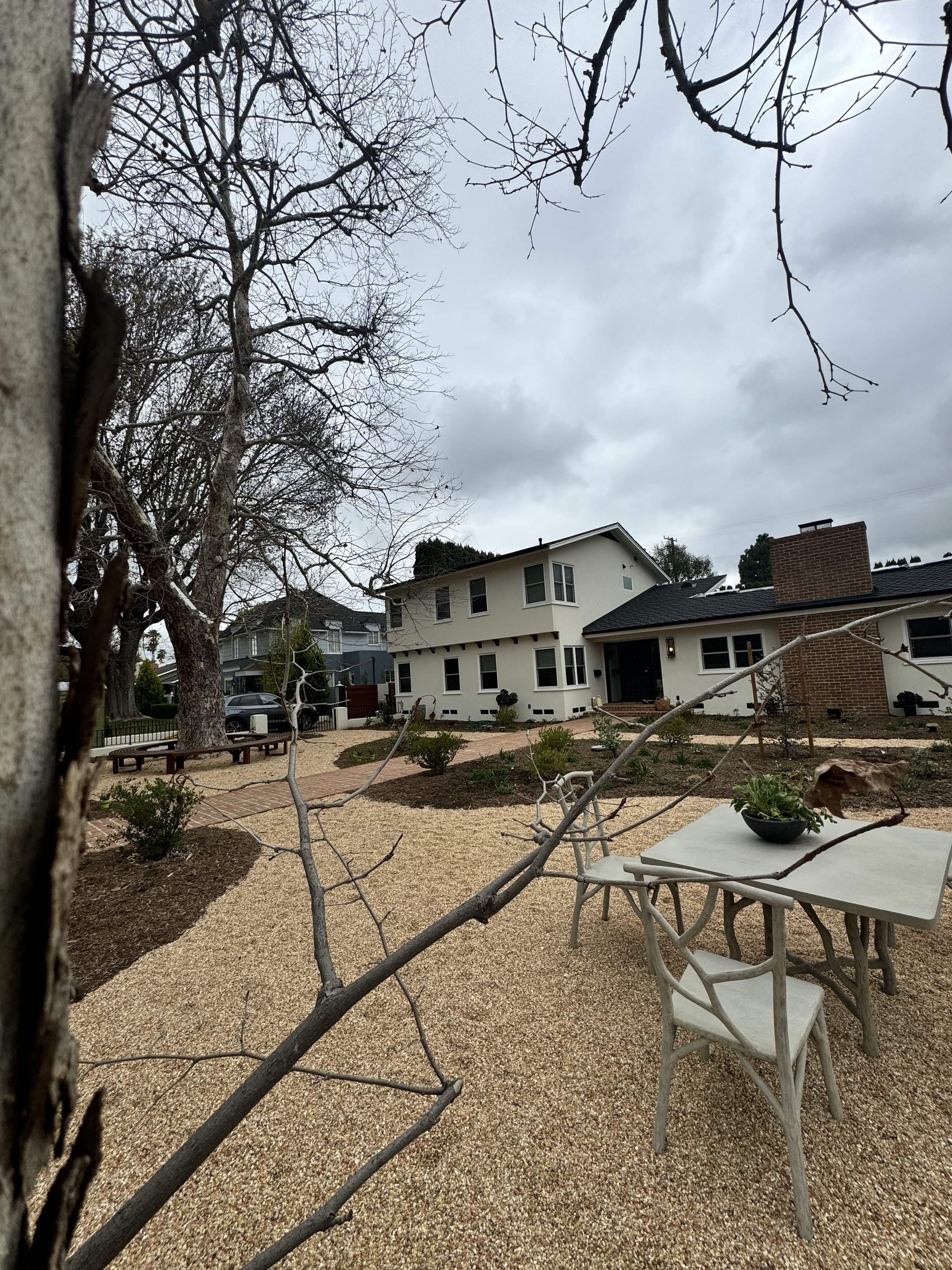 Front Yard.jpeg