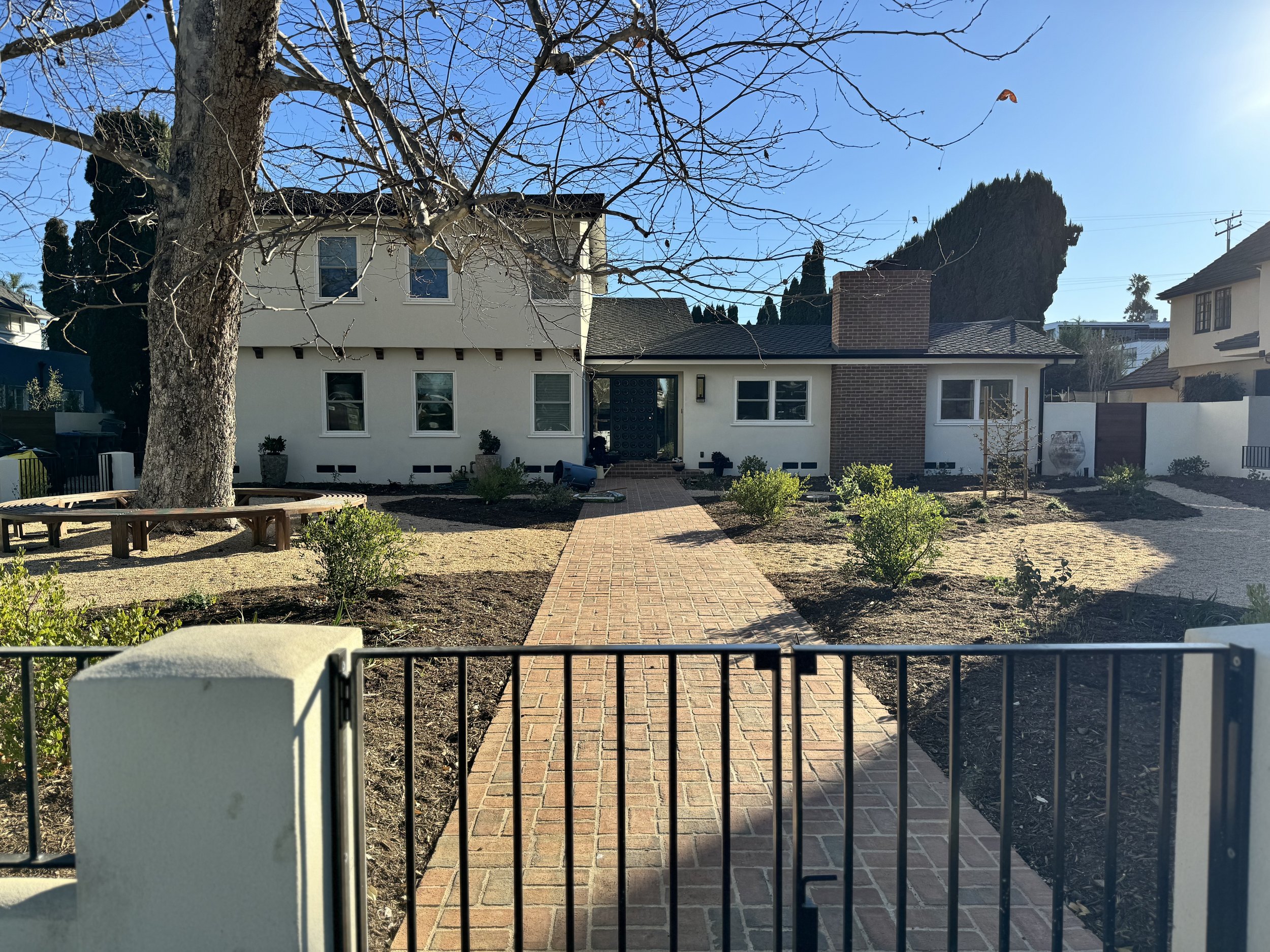 Front Yard3.jpeg