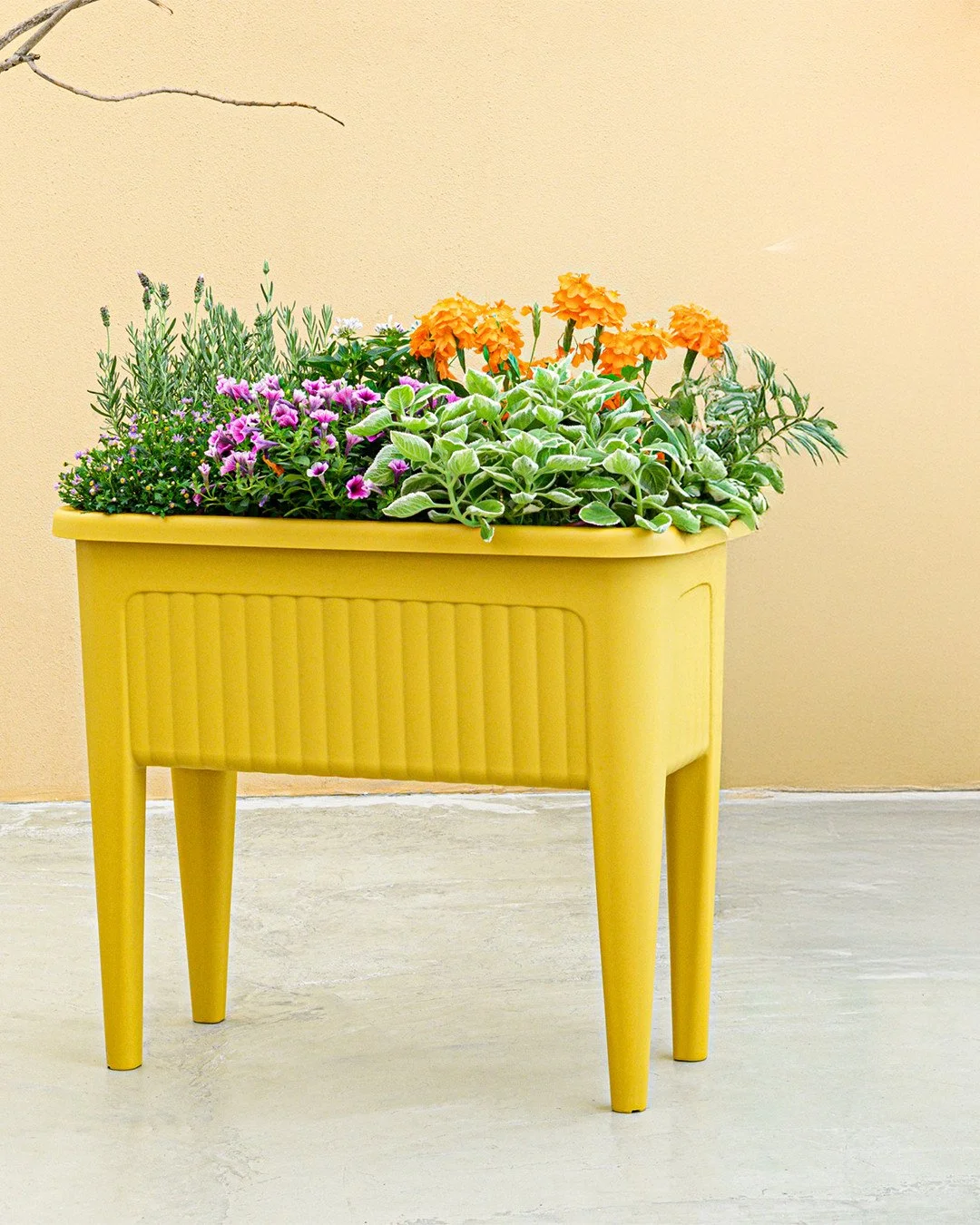 Mother's Day Gift Pick! A little green goes a long way...⁠
⁠
The Provence Planter brings classic style to any space, indoors or out. Perfect for herbs, flowers, or whatever she&rsquo;s growing next.