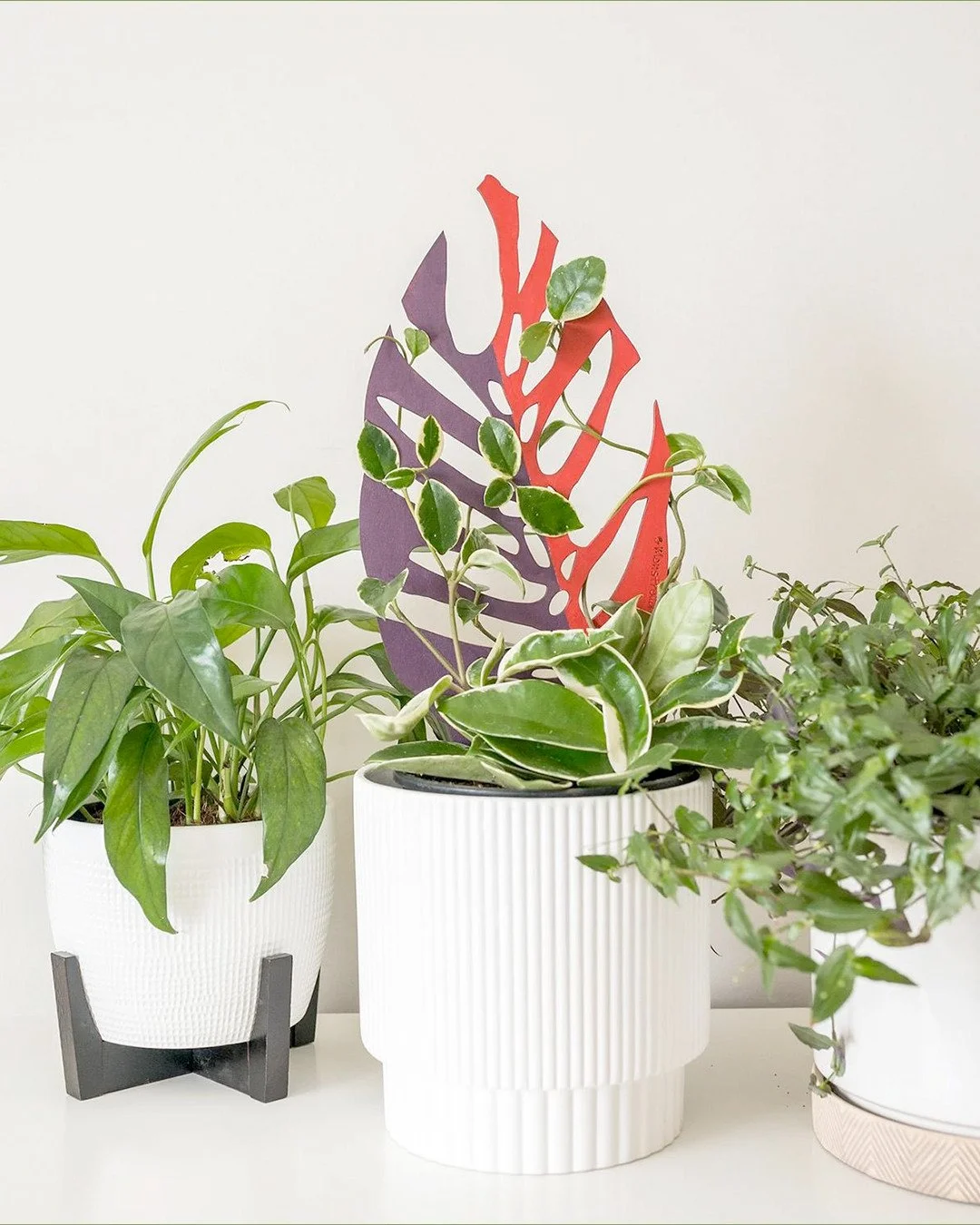 For the plant mom who already has everything.⁠
⁠
These beautifully designed plant supports help her greenery grow and thrive while adding a sculptural touch to every pot. Thoughtful, functional, and just a little unexpected, they&rsquo;re an easy way