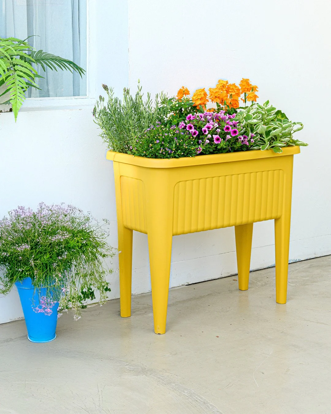 Fresh herbs on the counter. Flowers on the patio. A little life wherever you need it.⁠
⁠
The Provence Planter makes it easy.