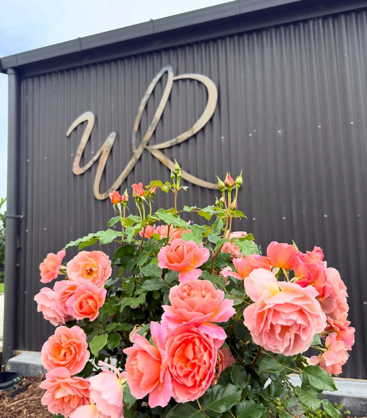 The wait is over! Our gardens are complete, and we couldn't be more grateful to our family and friends for their hard work and love. Our dream is now a reality!

Willow &amp; Philippa xx