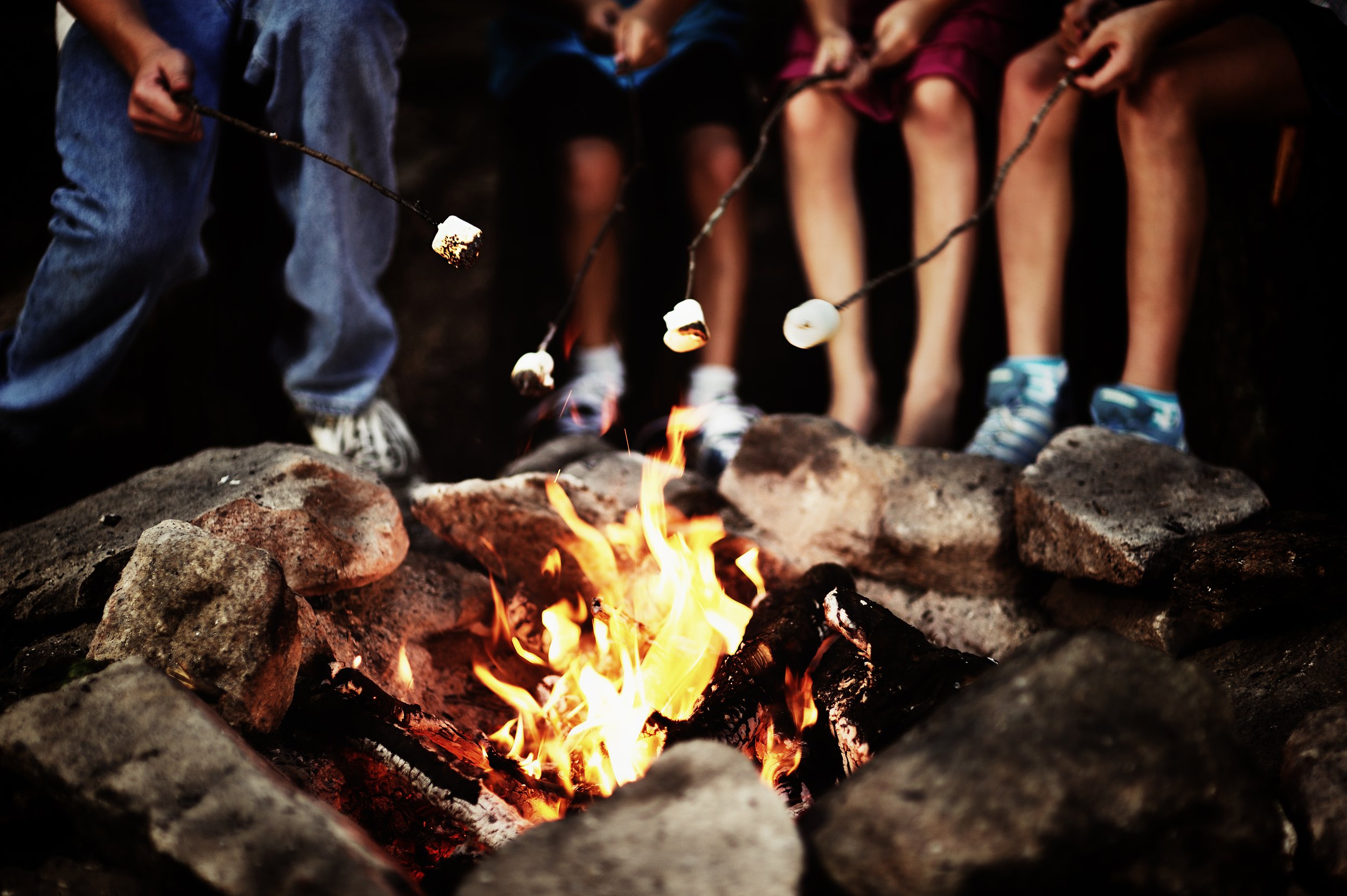 Family Camp Out