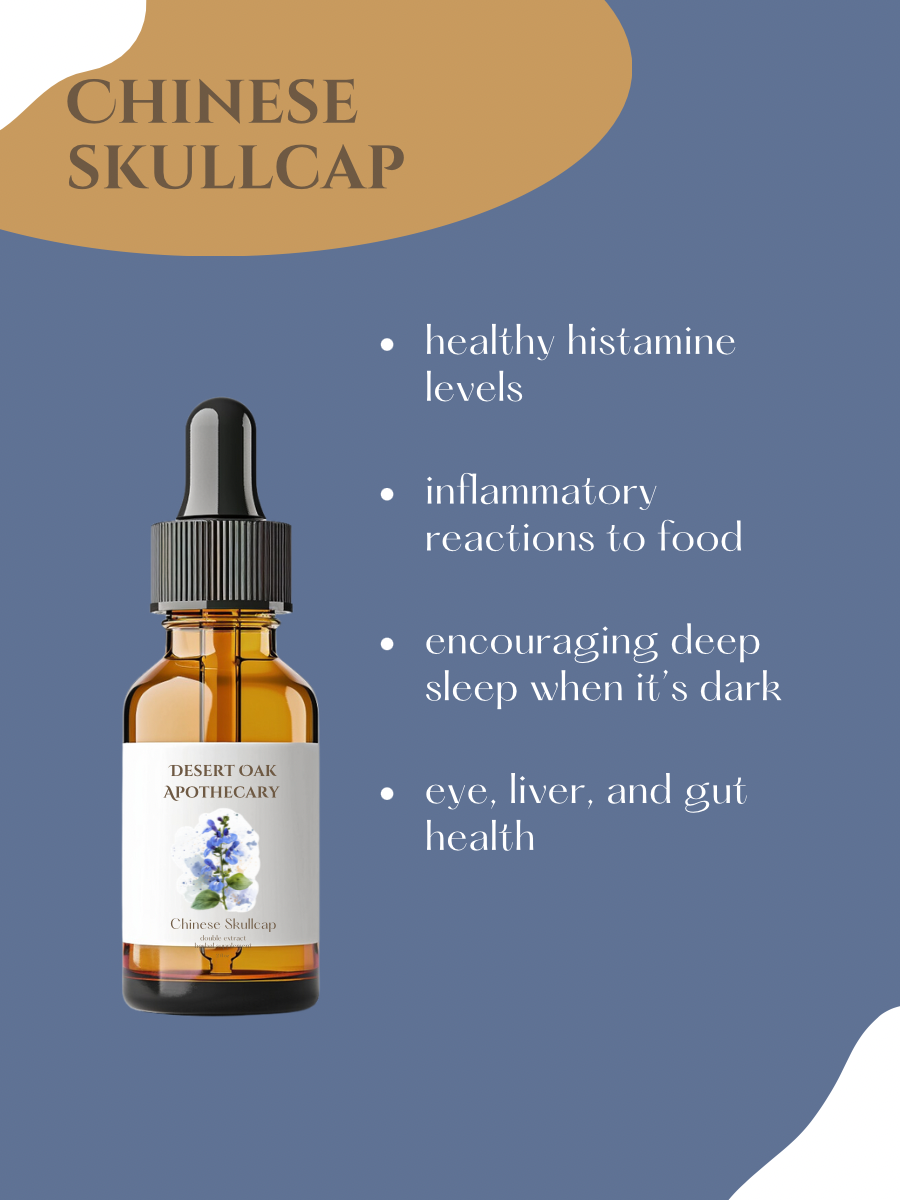 Chinese Skullcap uses — supports immune defense and respiratory comfort during illness