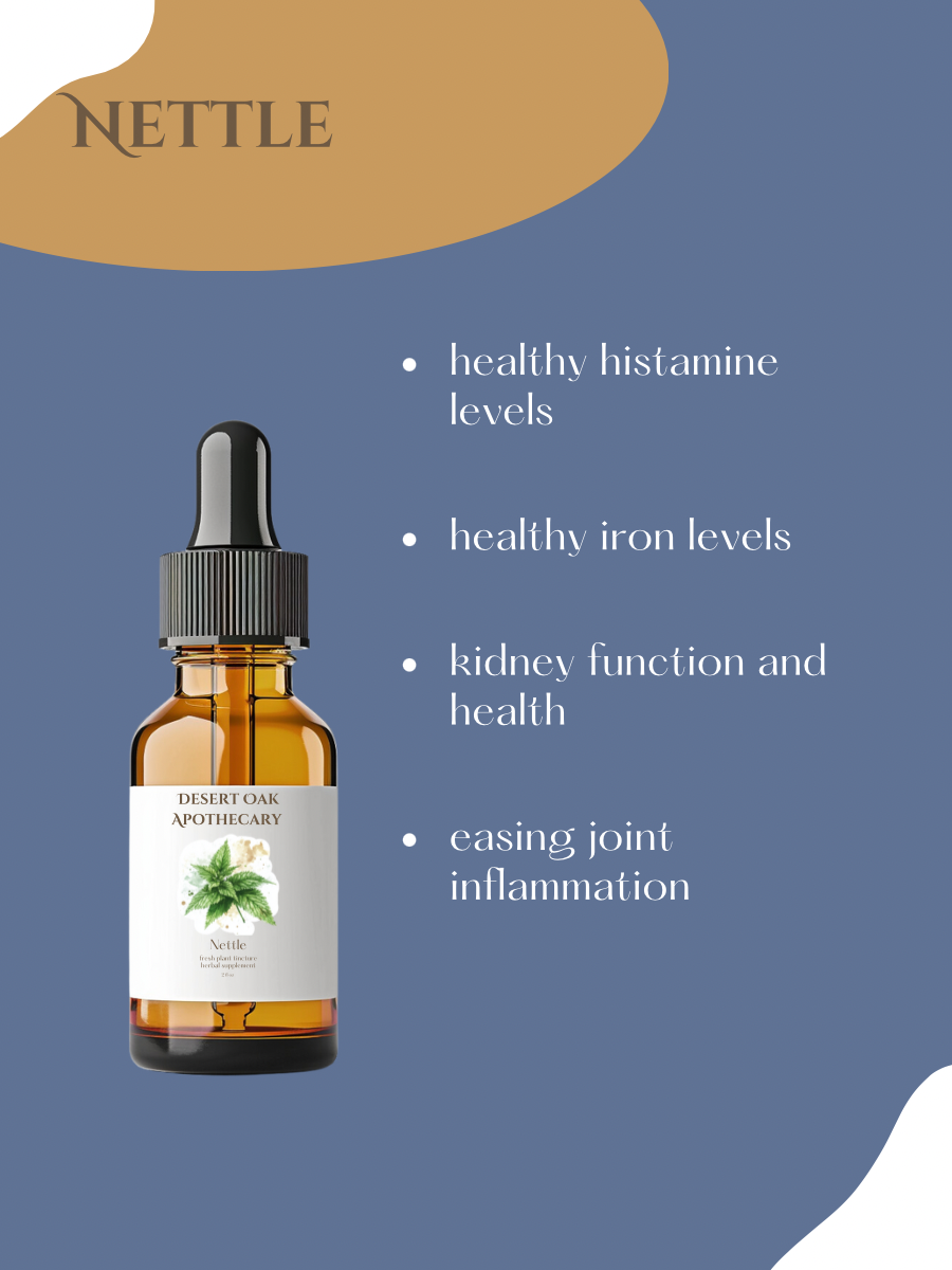 Nettle benefits — rich in iron and minerals, supports allergy relief, kidney health, and vitality