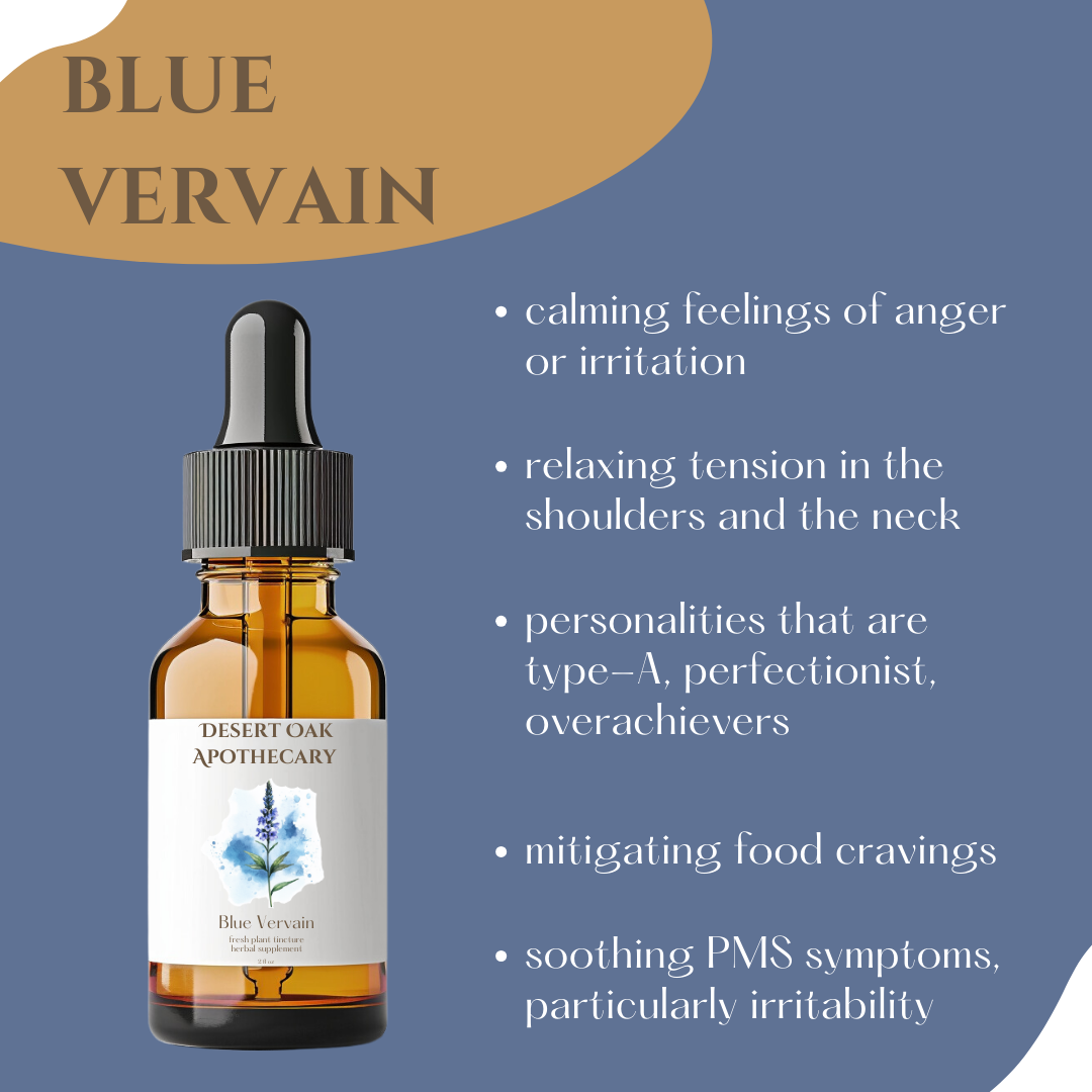 Close-up of organic Blue Vervain herb, known for its calming effects on stress and anxiety, supporting relaxation and emotional balance.