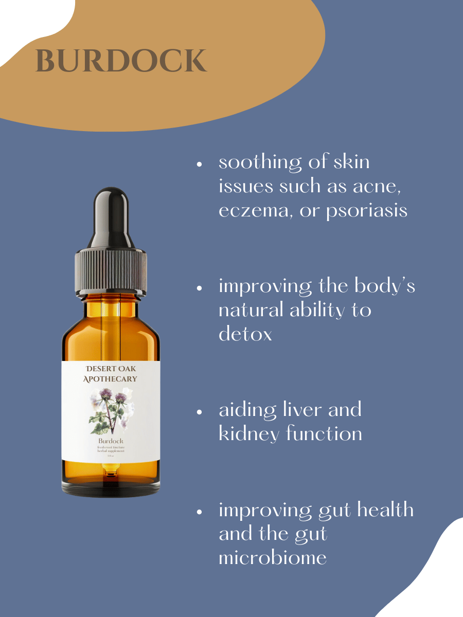 Herbal burdock extract promoting internal cleansing, clearer skin, and digestion support.