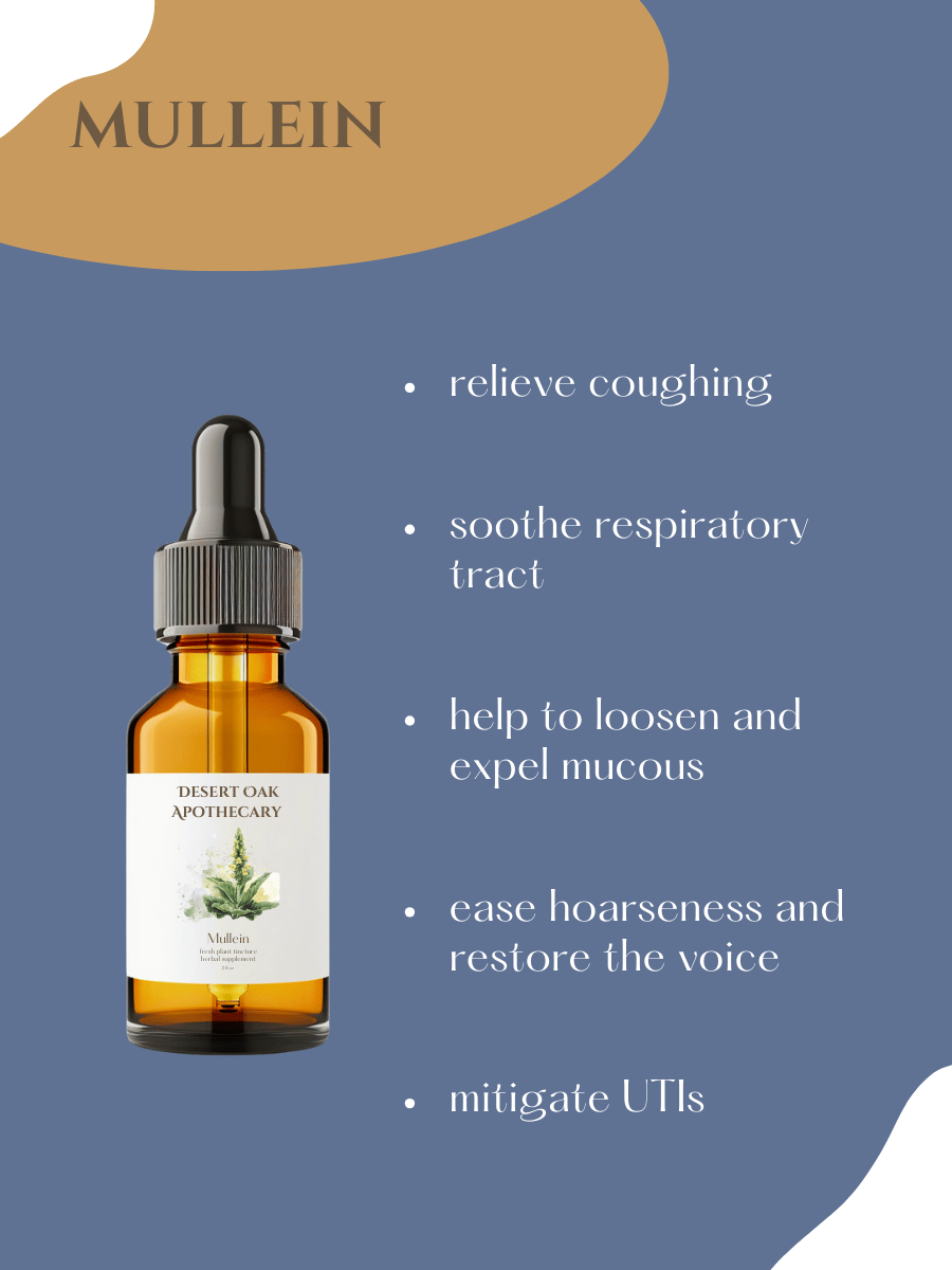 Handcrafted Mullein extract—used for clearing mucus, soothing inflamed airways, and supporting healthy breathing during cold or allergy season.