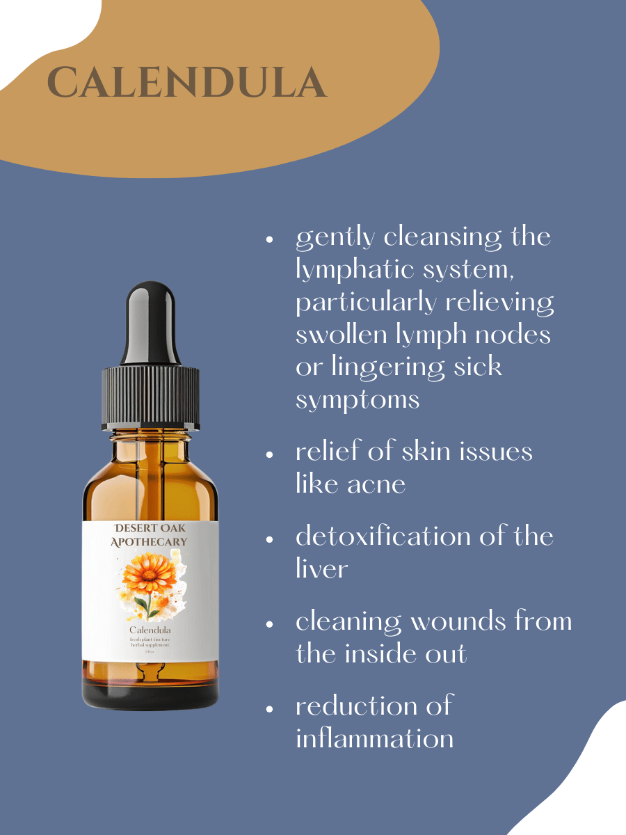 Herbal Calendula extract designed to promote lymphatic drainage, immune support, and tissue regeneration naturally.