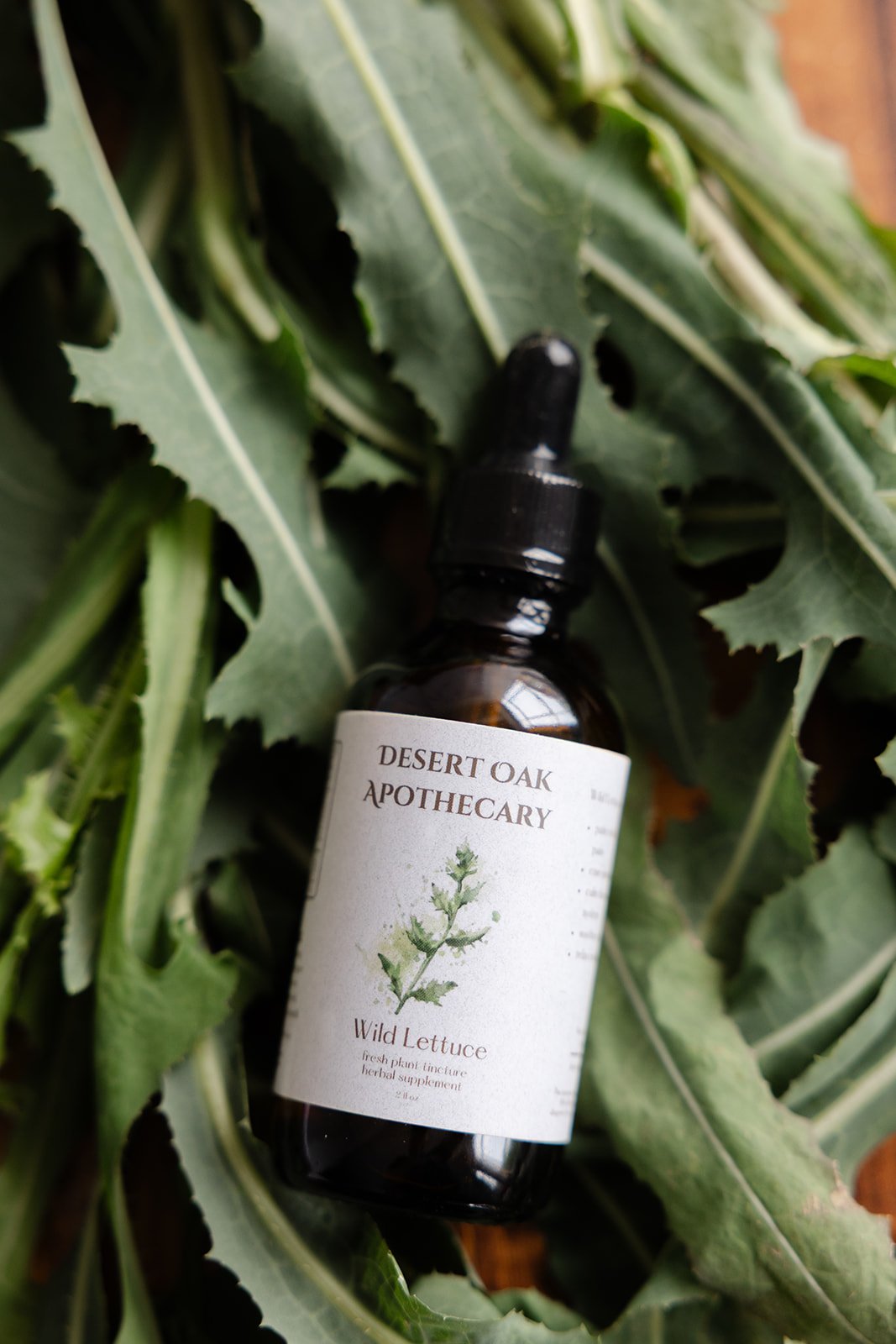 Alcohol-based Wild Lettuce tincture offering gentle sedative effects to support discomfort, rest, and nervous system balance.