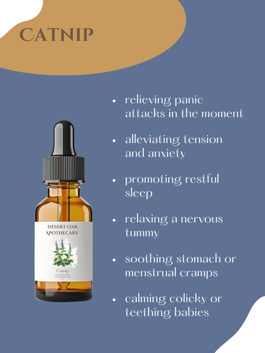 Gentle herbal elixir made with catnip and honey, crafted to support emotional calm, digestion, and peaceful nights.