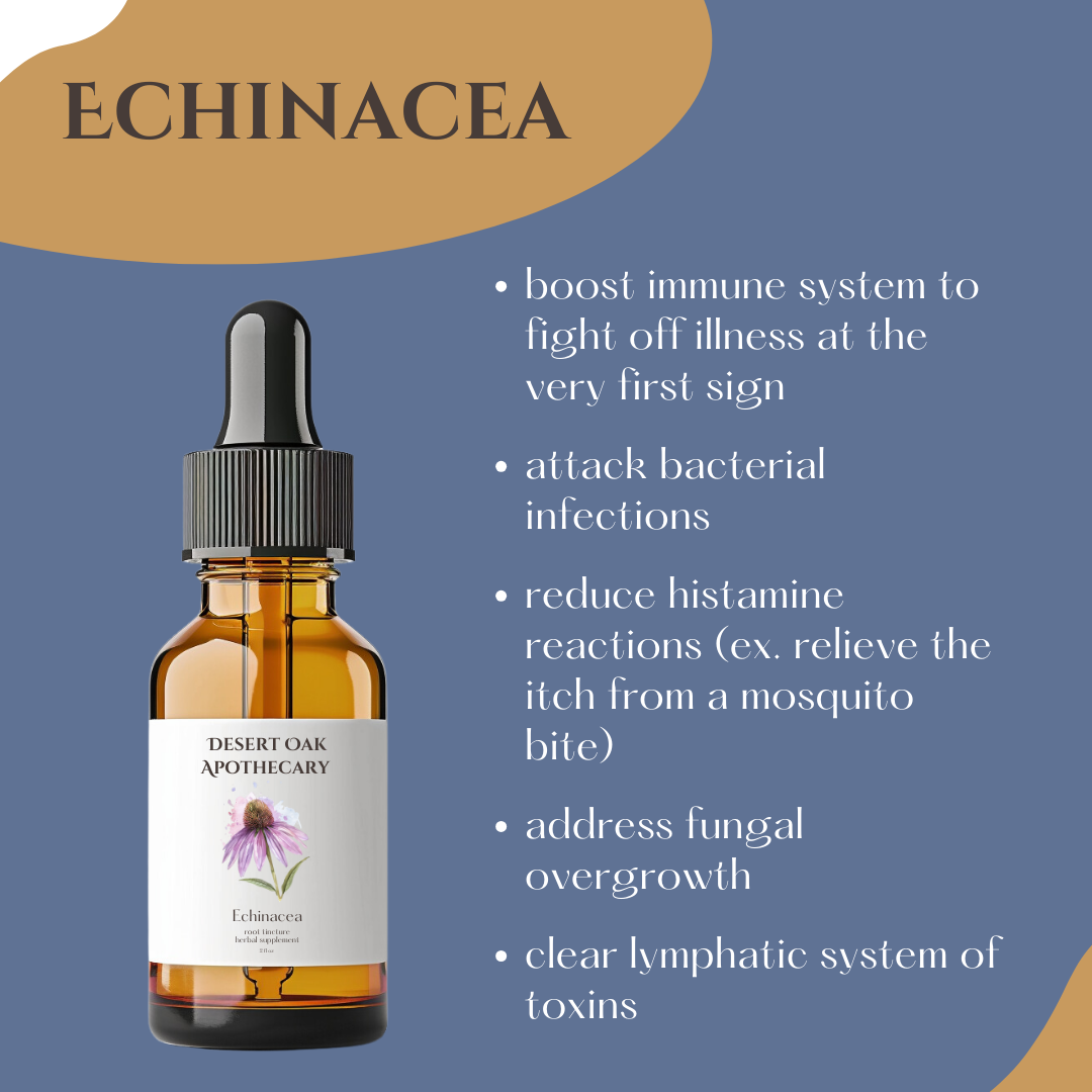 Herbal remedy tincture by Desert Oak Apothecary for treating minor cuts, burns, and stings