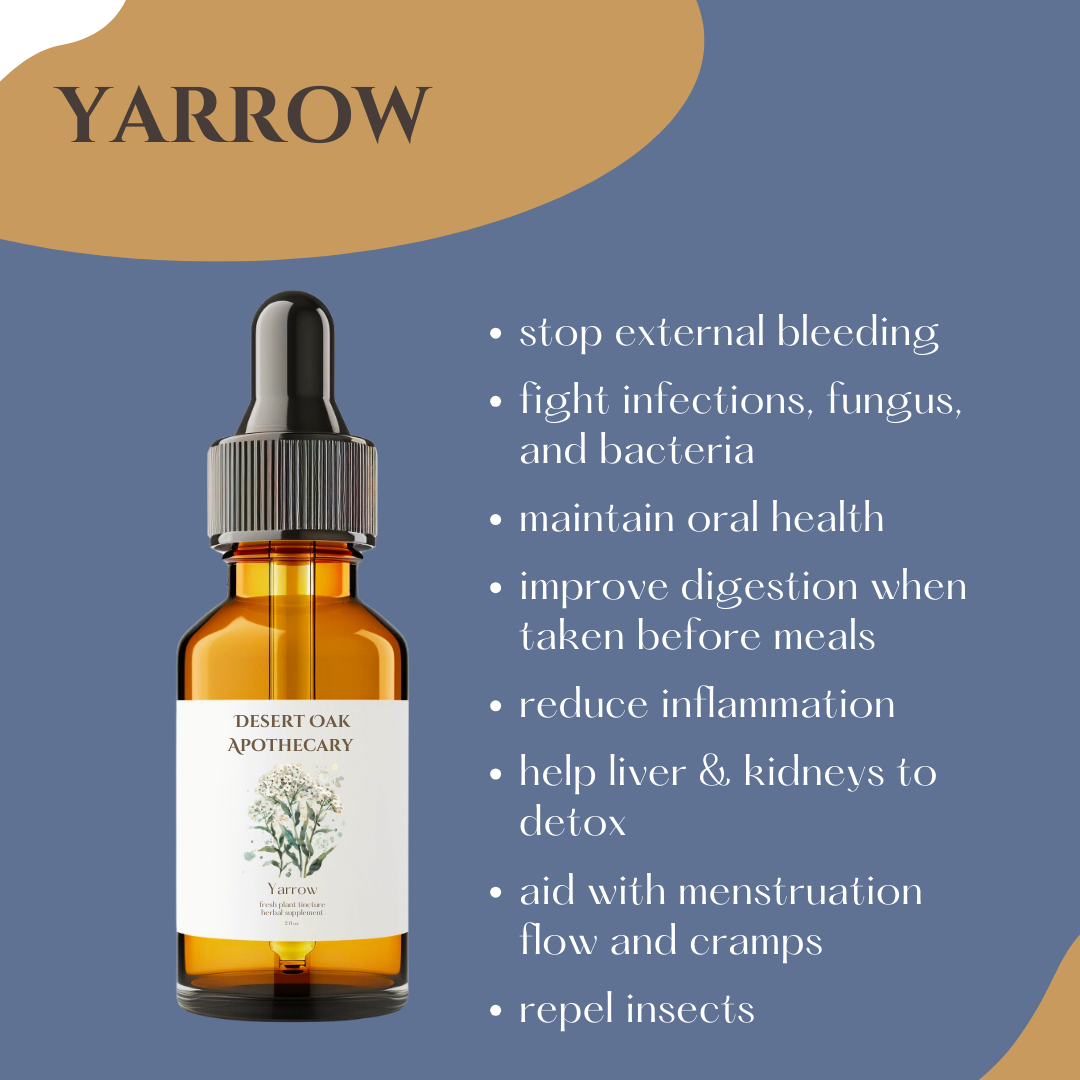 Natural first aid tincture for cuts, insect stings, burns, and skin inflammation relief