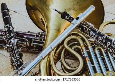 mixed-wind-quintet-instruments-black-260nw-1717263565.png