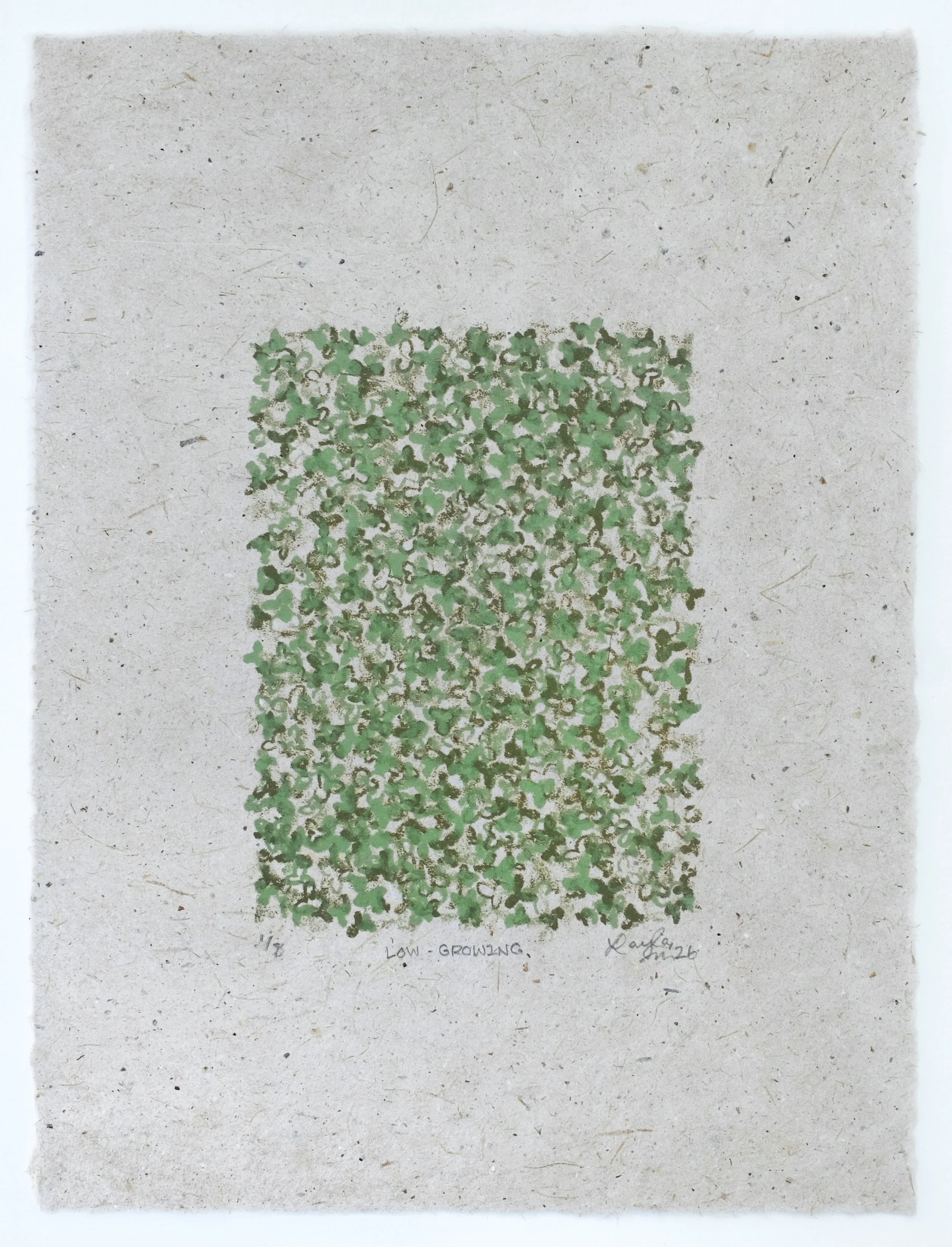 Low Growing (6" x 8")